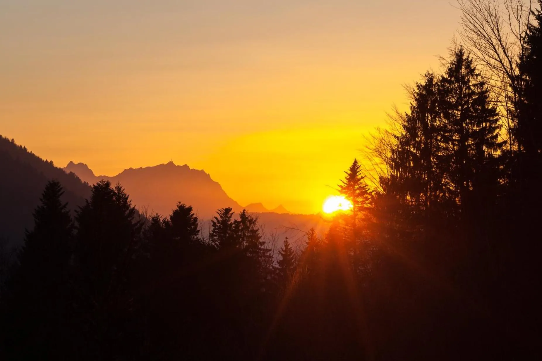 View (from property/room) in Hotel Bad Rain mit Oberstaufen PlusGolf