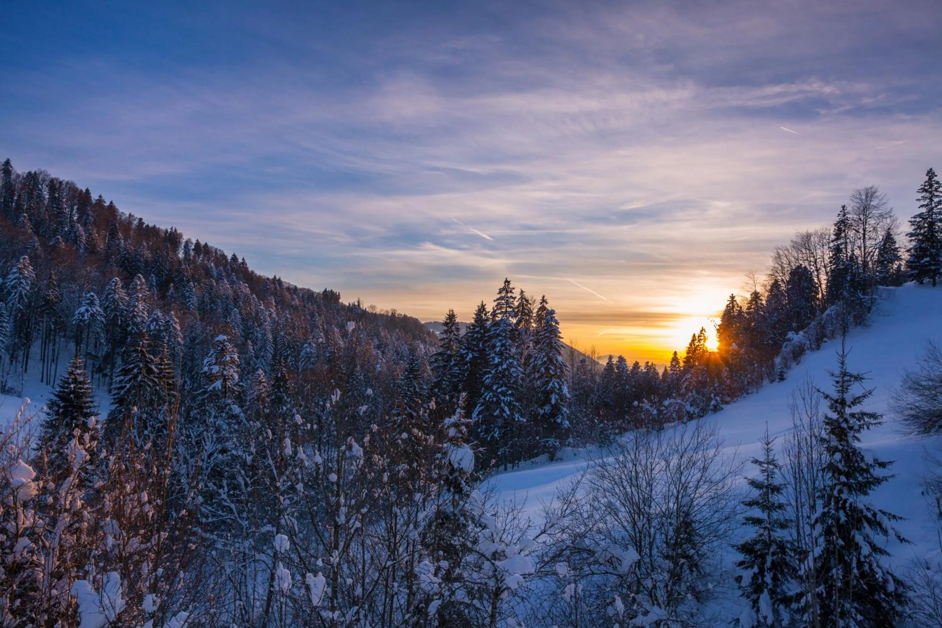 Natural landscape in Hotel Bad Rain mit Oberstaufen PlusGolf