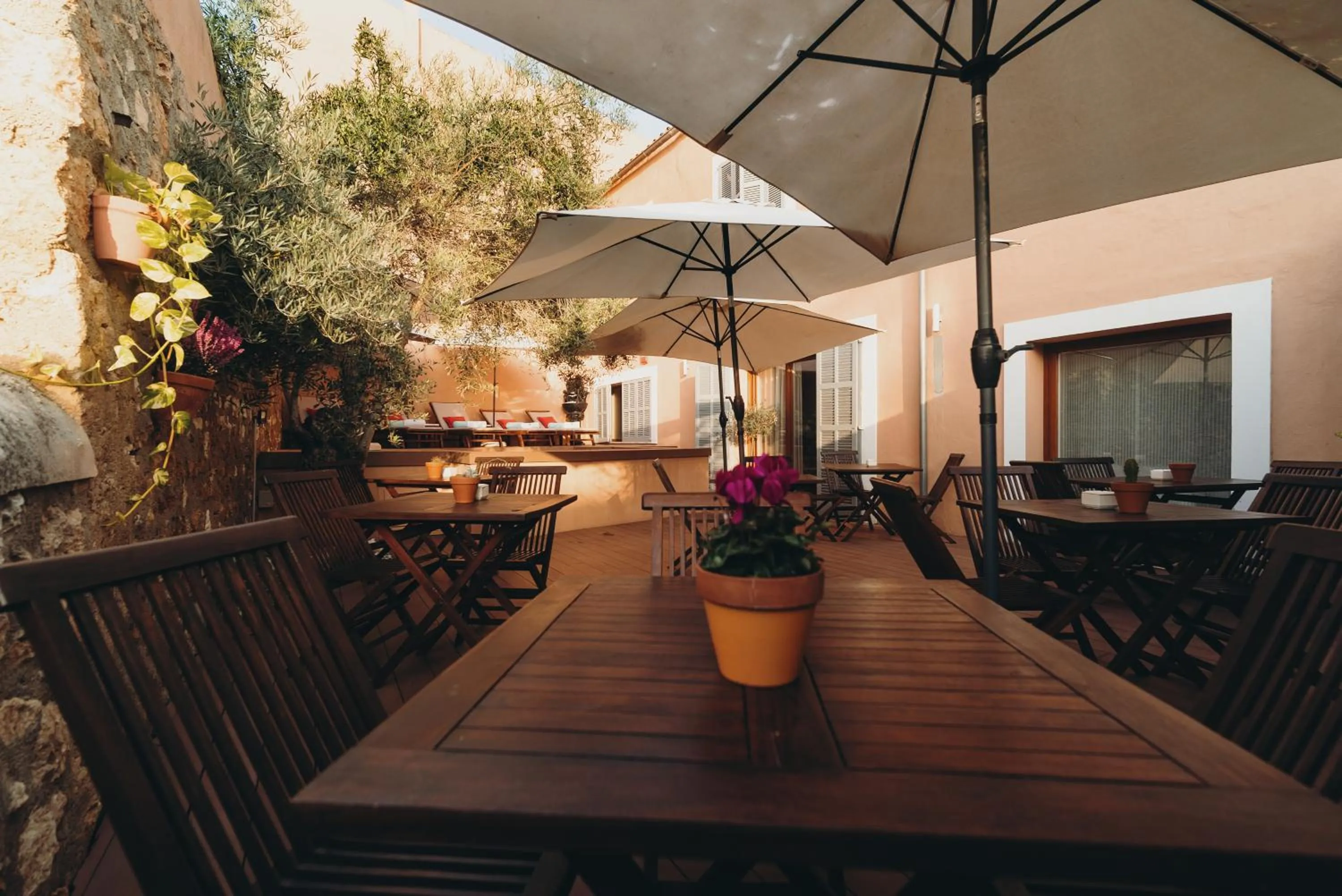 Patio in Can Serrete