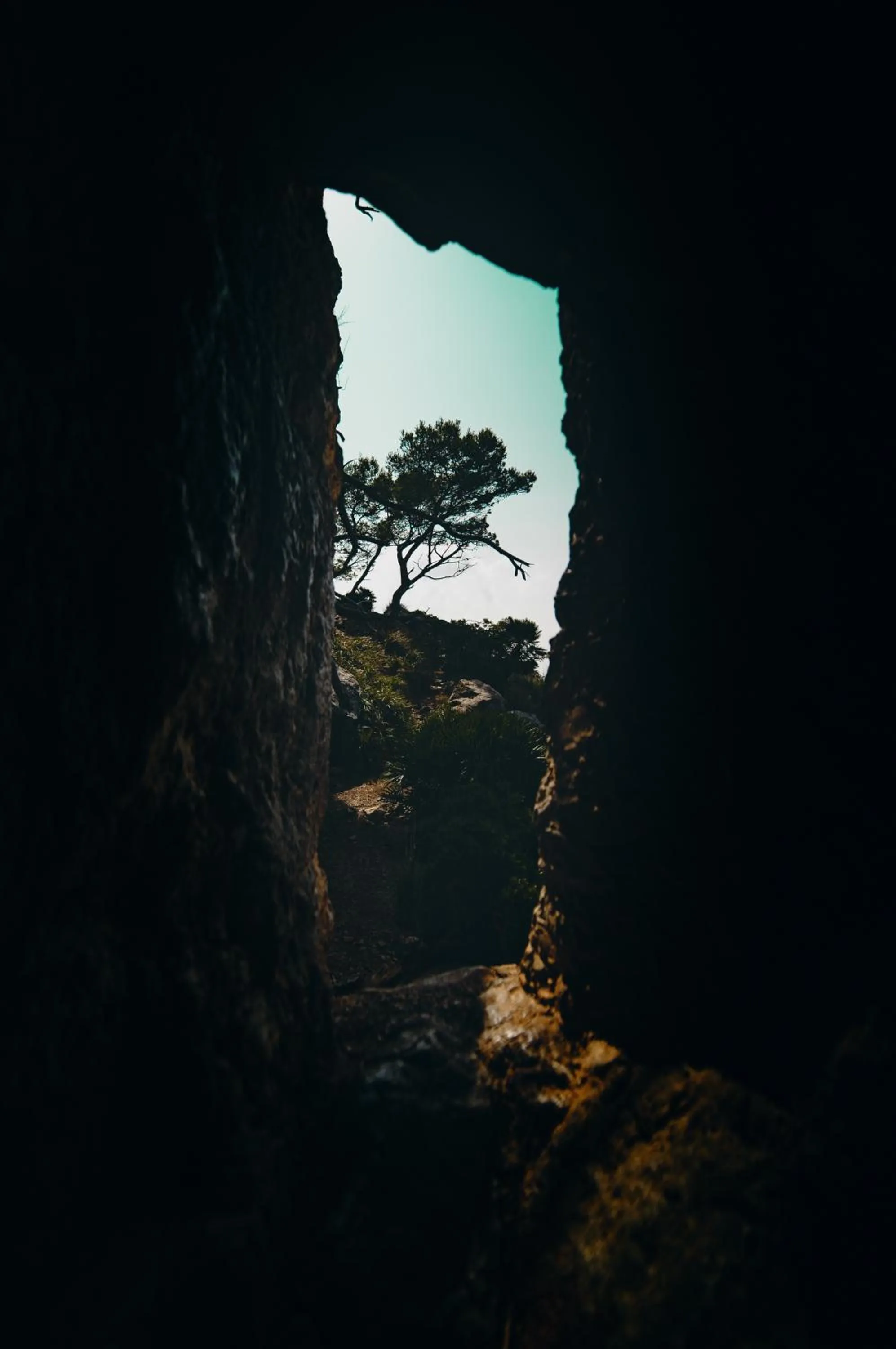 Nearby landmark in Can Serrete