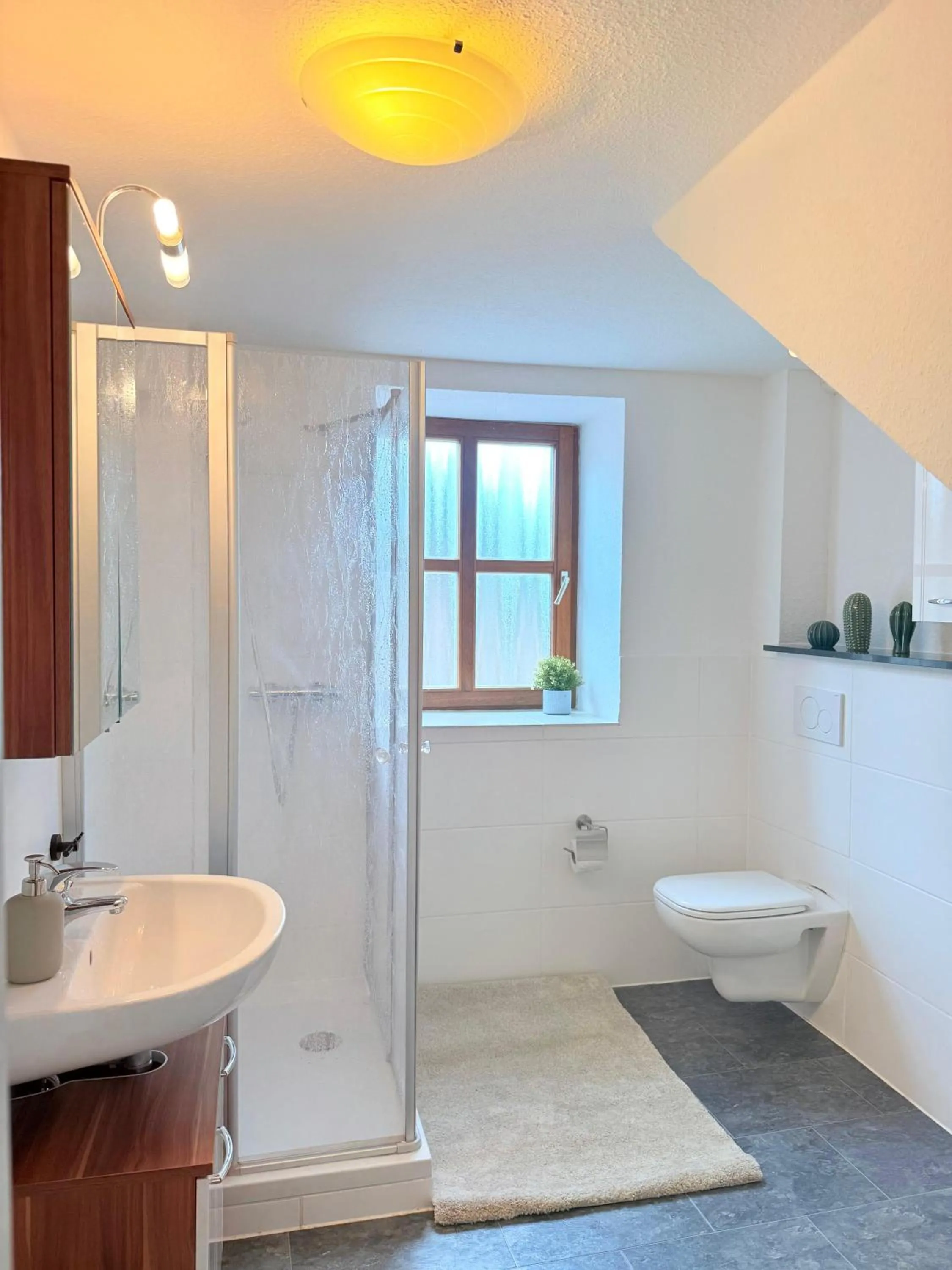 Shower in Hotel Alt Oesselse