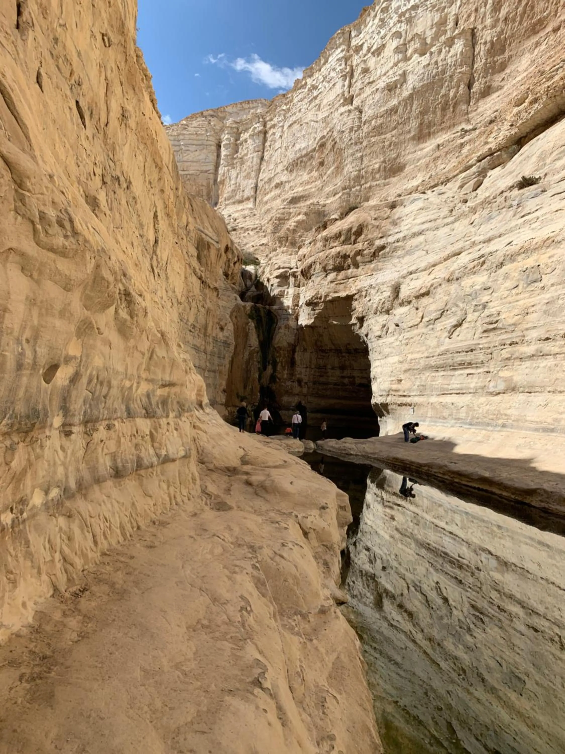 Hiking in Khan Alsira - חאן אלסרה