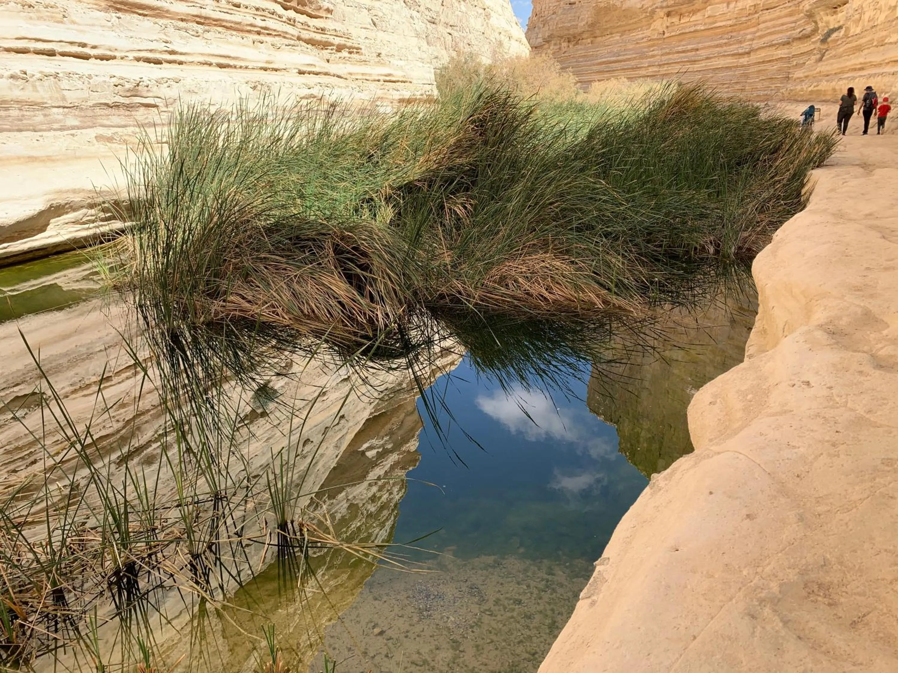Hiking in Khan Alsira - חאן אלסרה