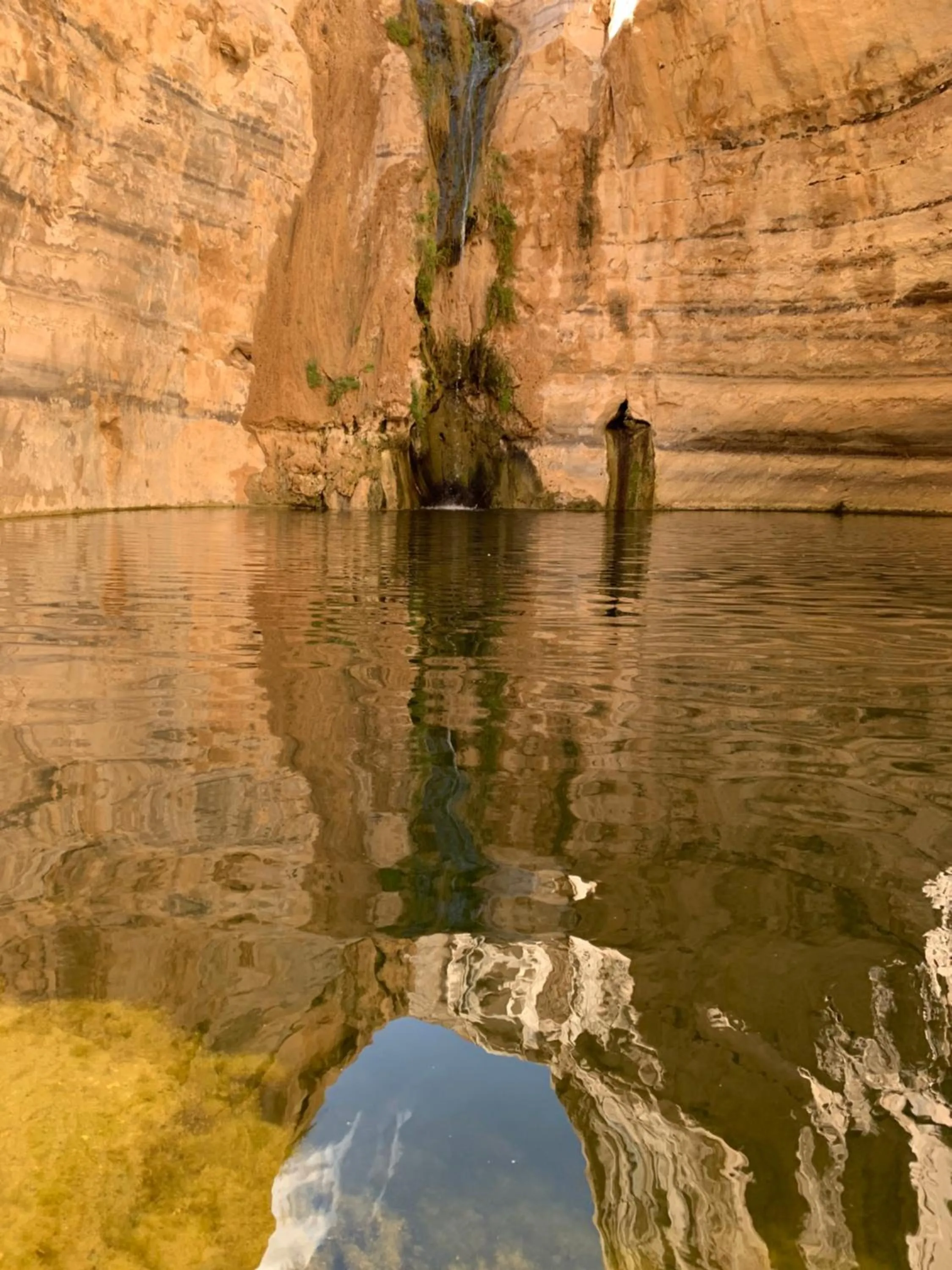 Hiking in Khan Alsira - חאן אלסרה