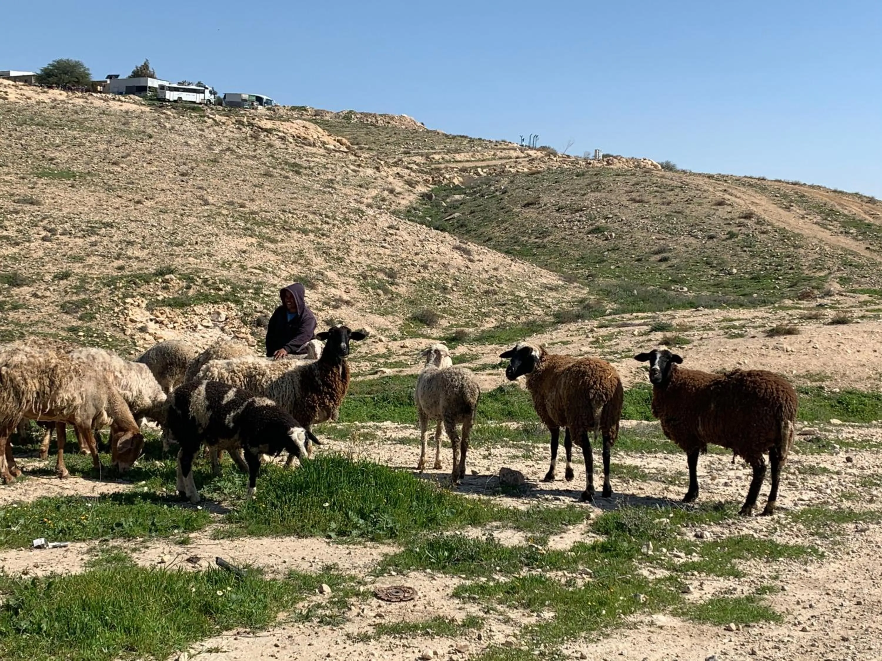 Hiking in Khan Alsira - חאן אלסרה