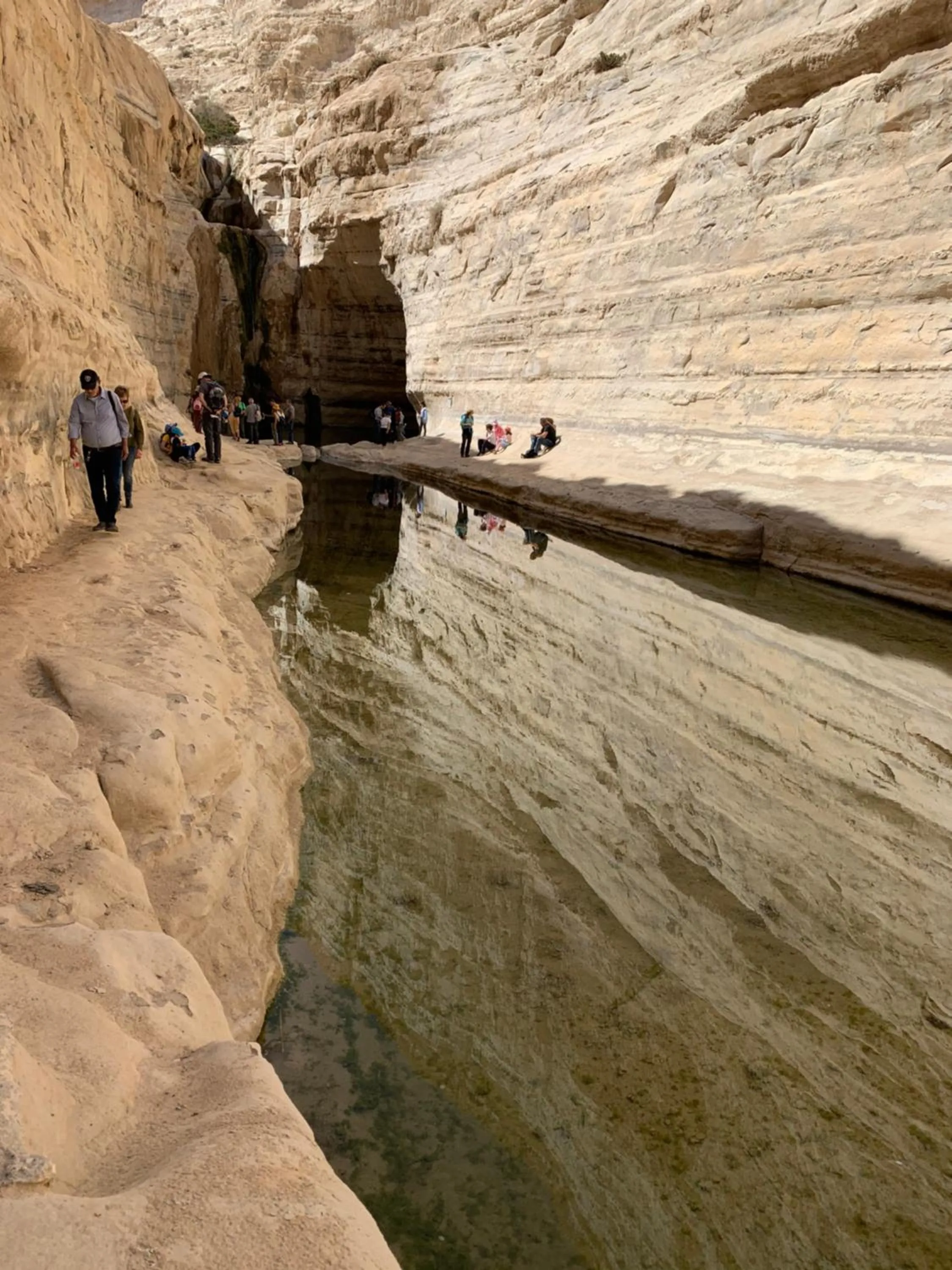 Natural landscape in Khan Alsira - חאן אלסרה