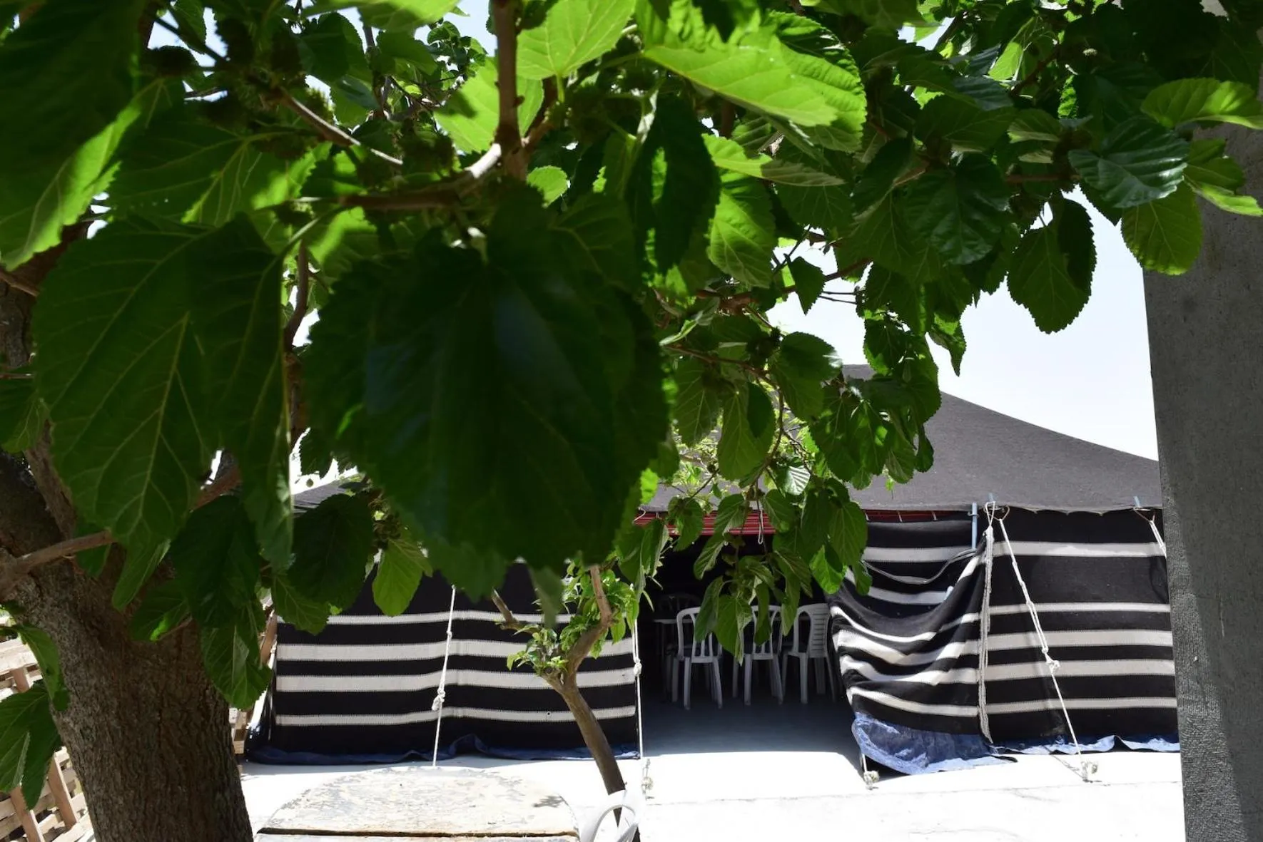 Other in Khan Alsira - חאן אלסרה