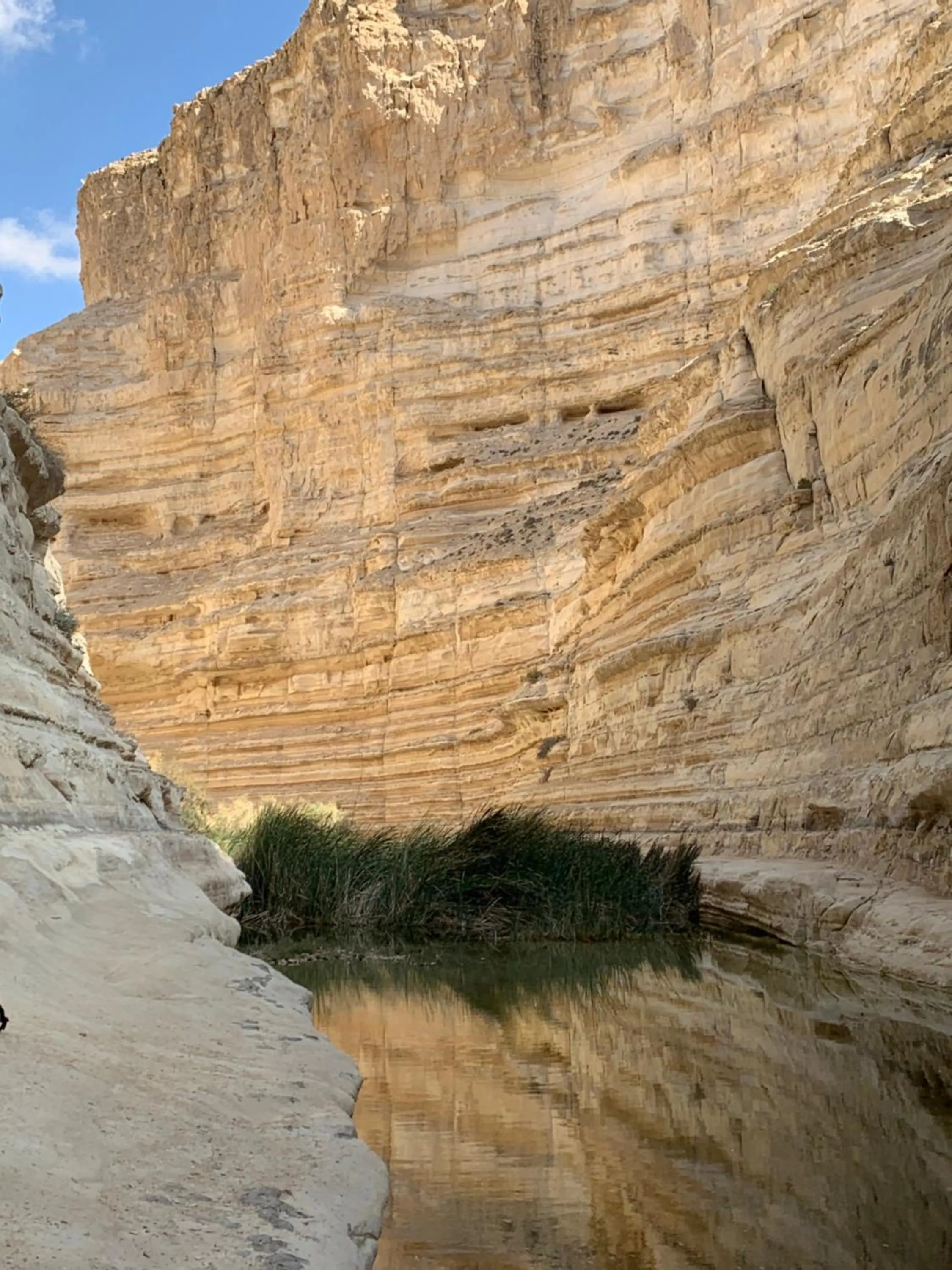 Hiking in Khan Alsira - חאן אלסרה