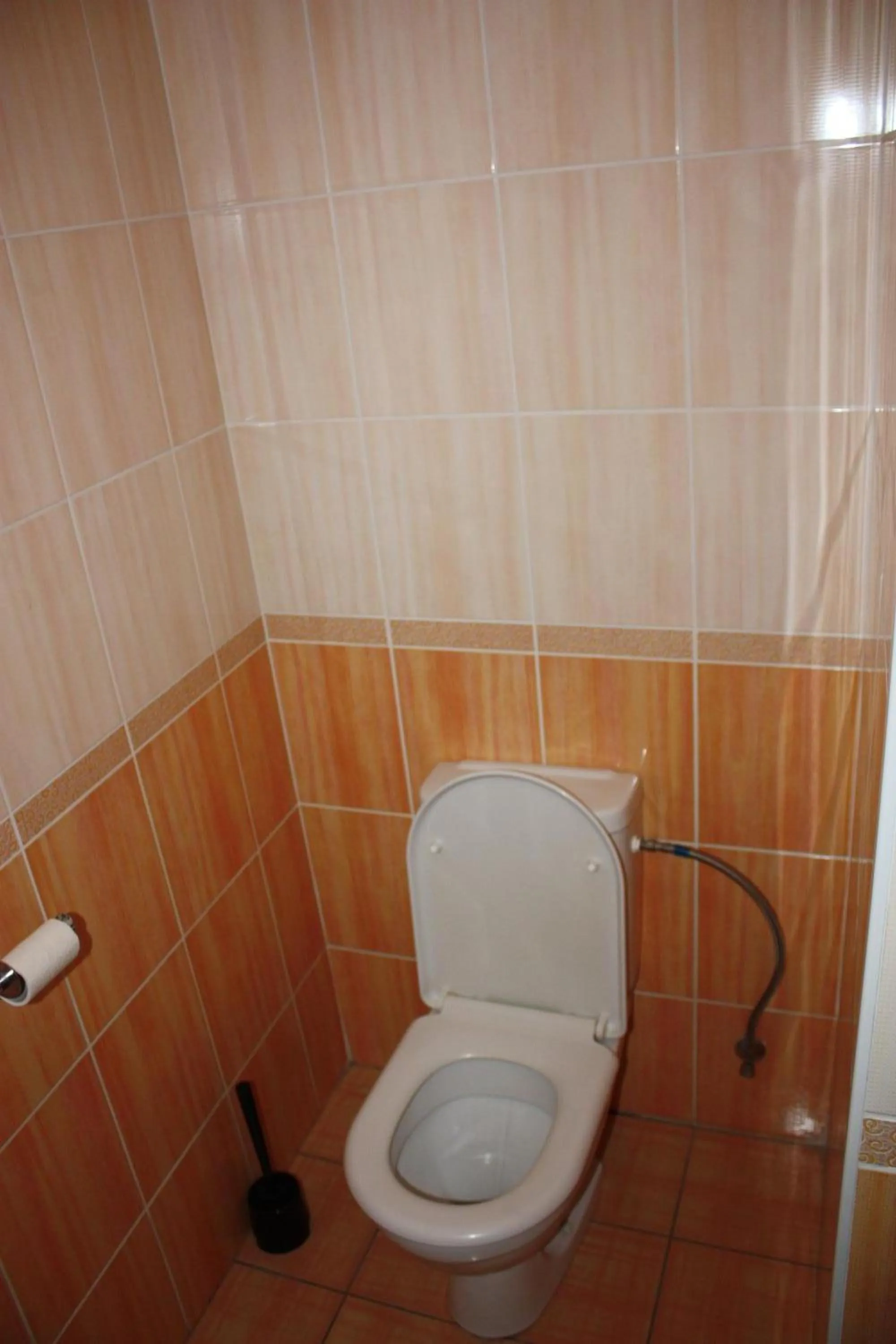 Toilet in Sporthotel BK Pod Lipou