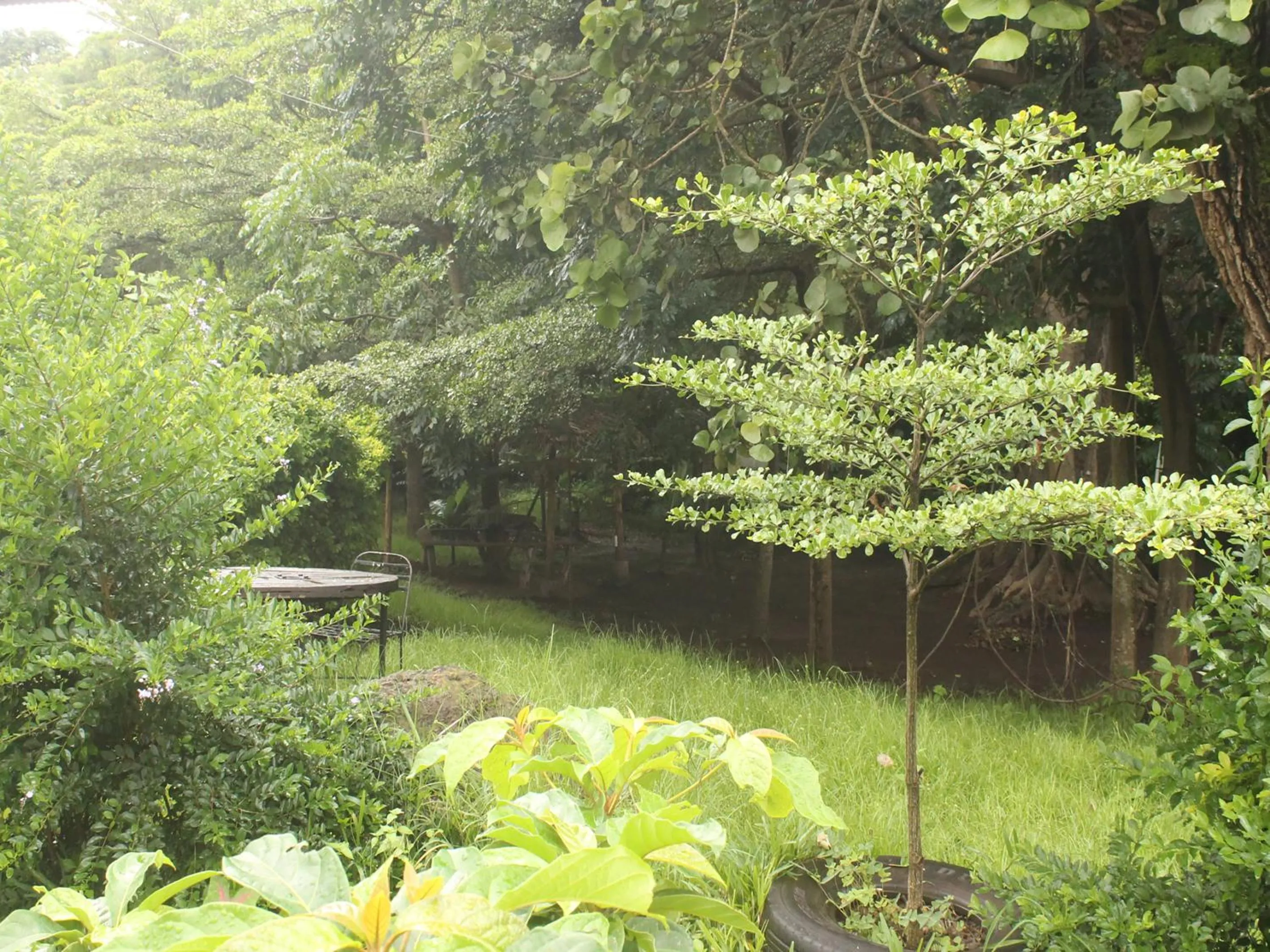 Other in Endasawa Tree Lodge