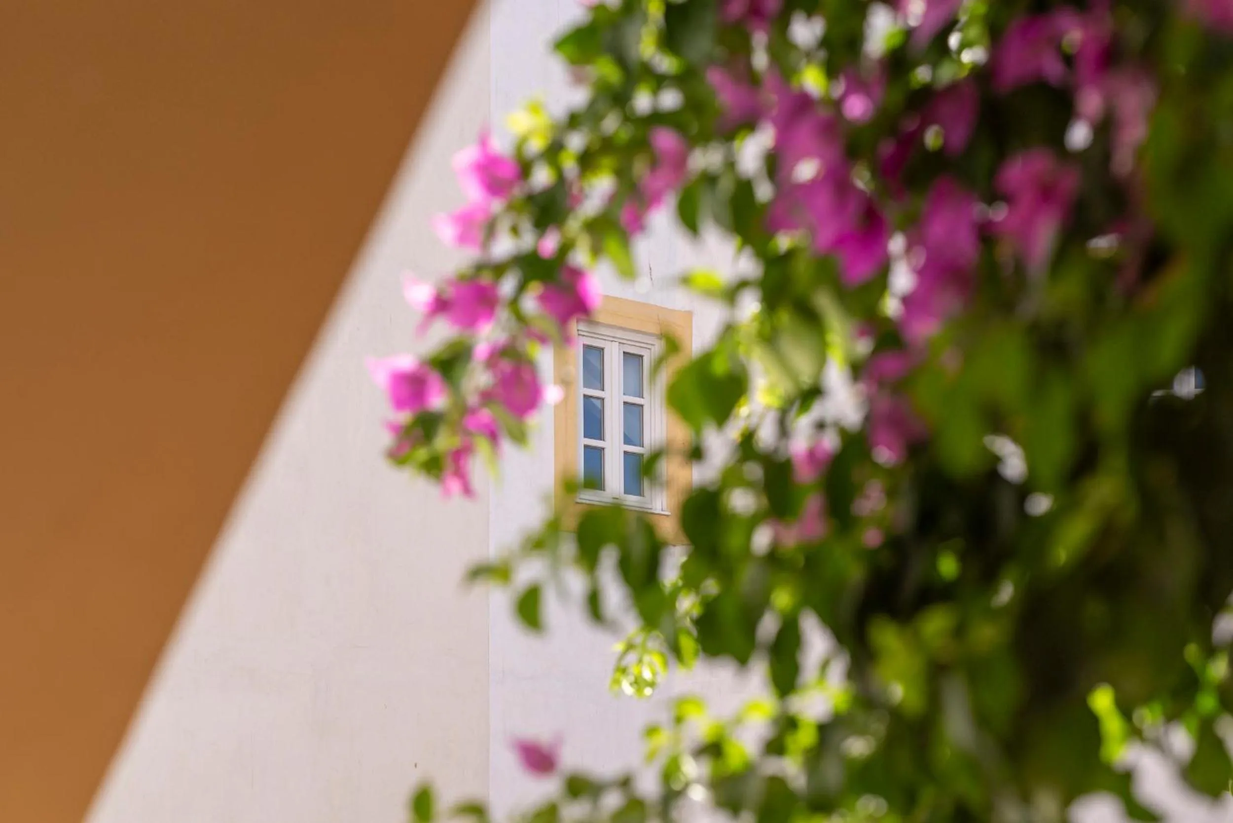 Property building in Casa Morgado Esporao