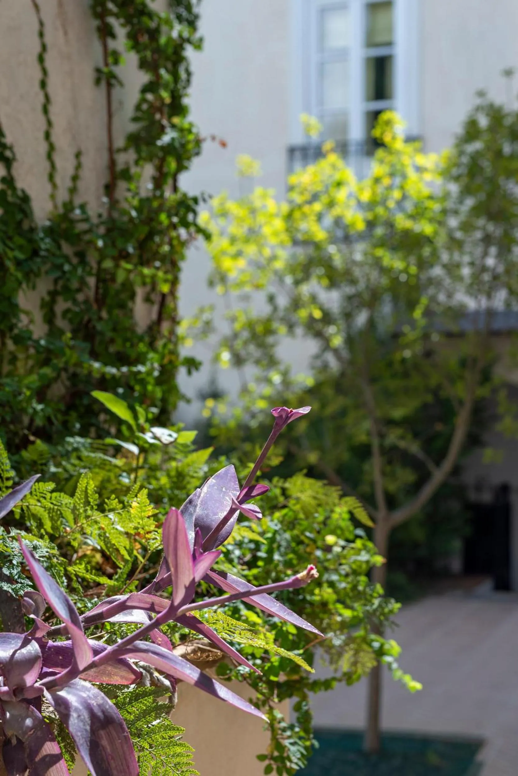 Property building in Casa Morgado Esporao