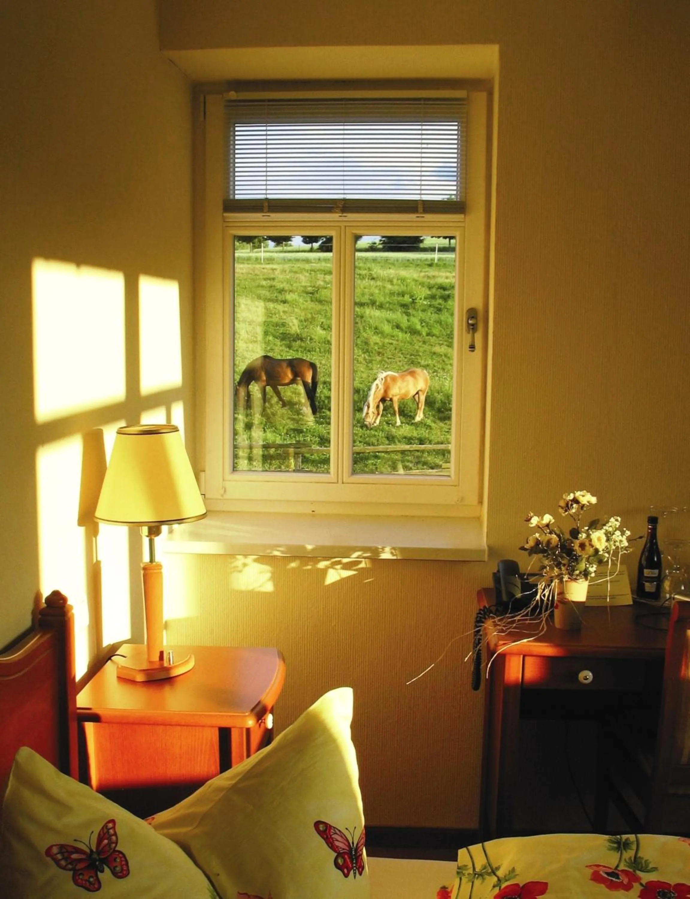 Photo of the whole room in Hotel Hammermühle