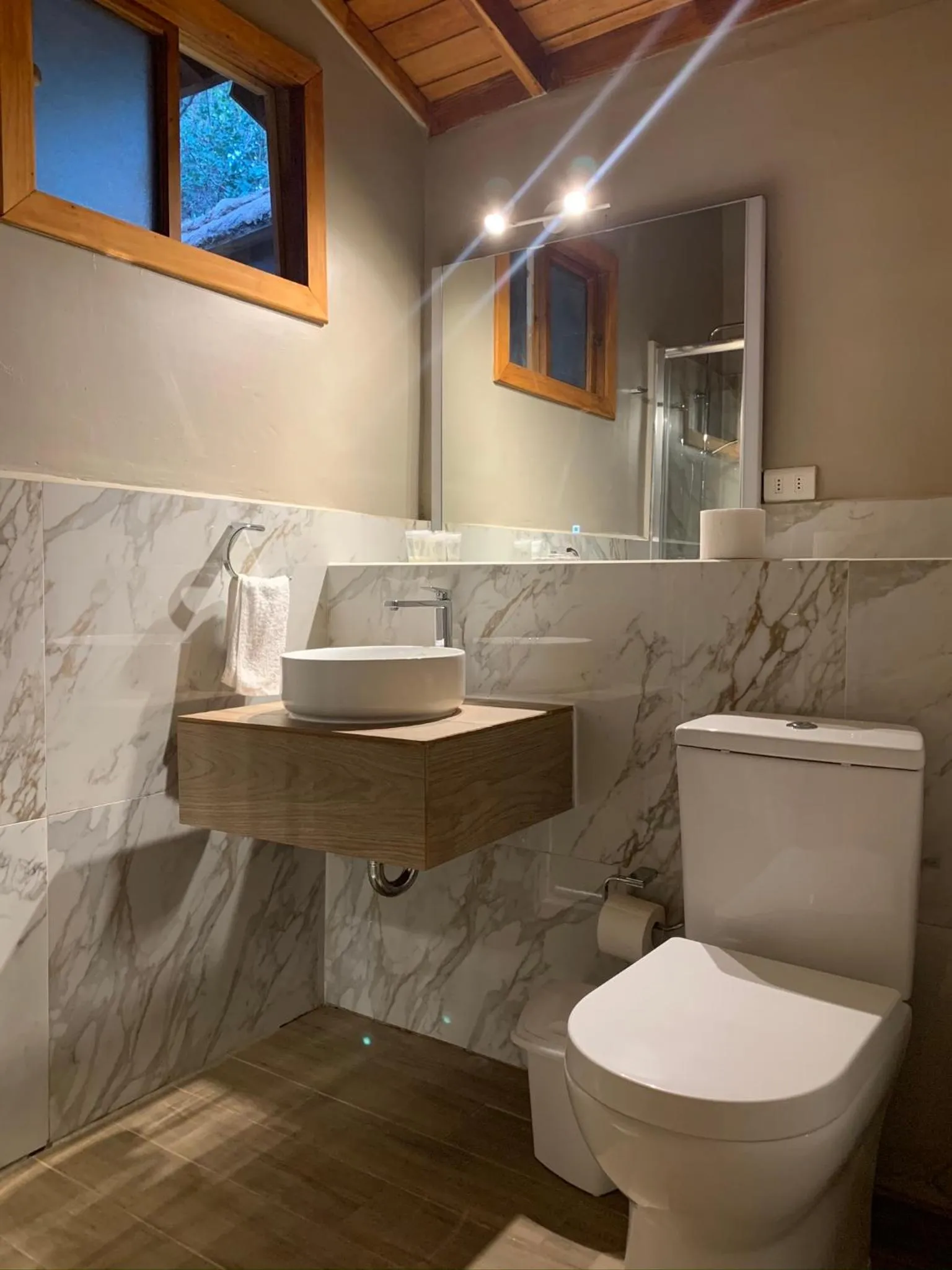 Toilet in Hotel El Tesoro de Elqui