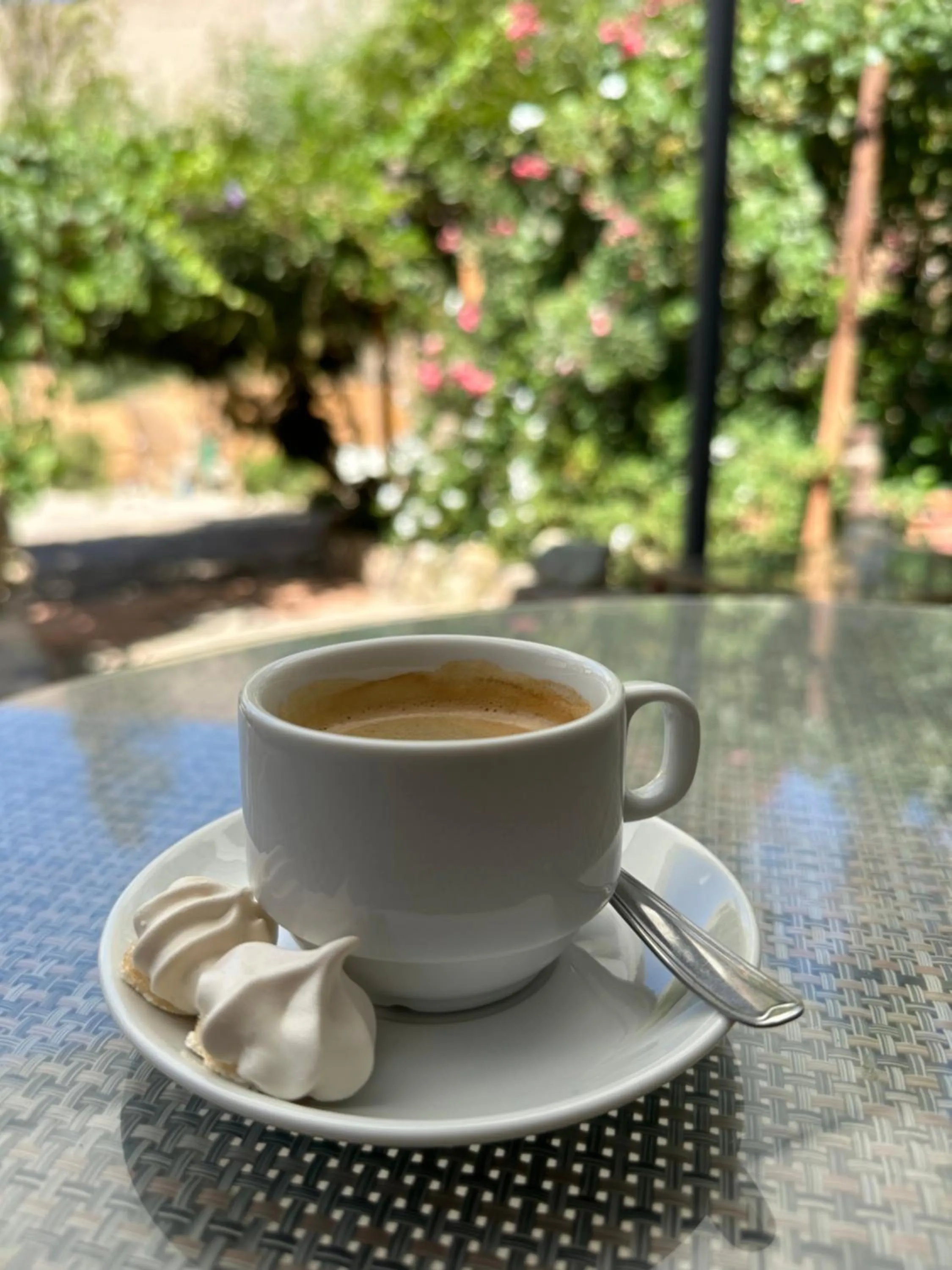 Restaurant/places to eat in Hotel El Tesoro de Elqui