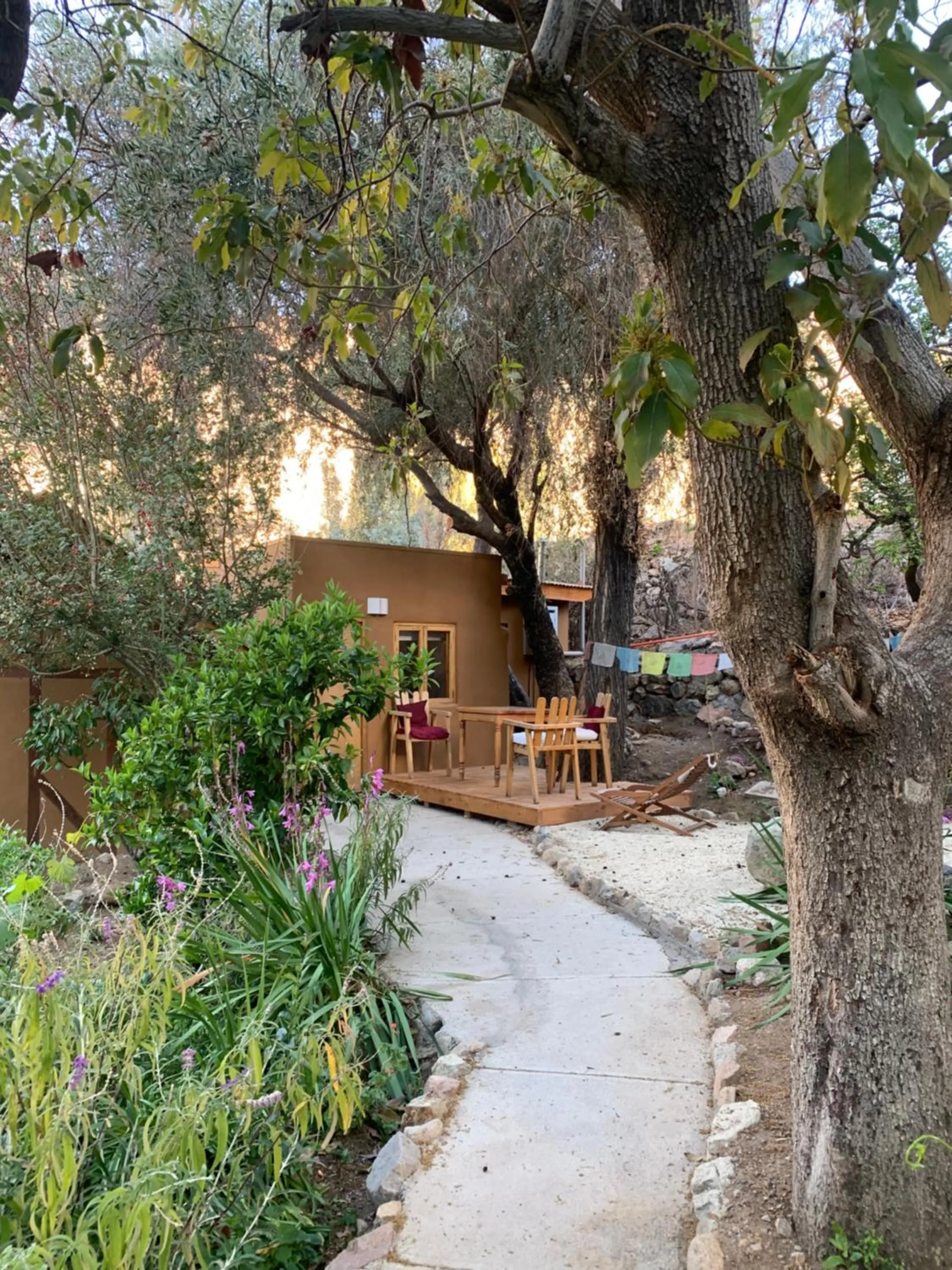 Balcony/Terrace in Hotel El Tesoro de Elqui