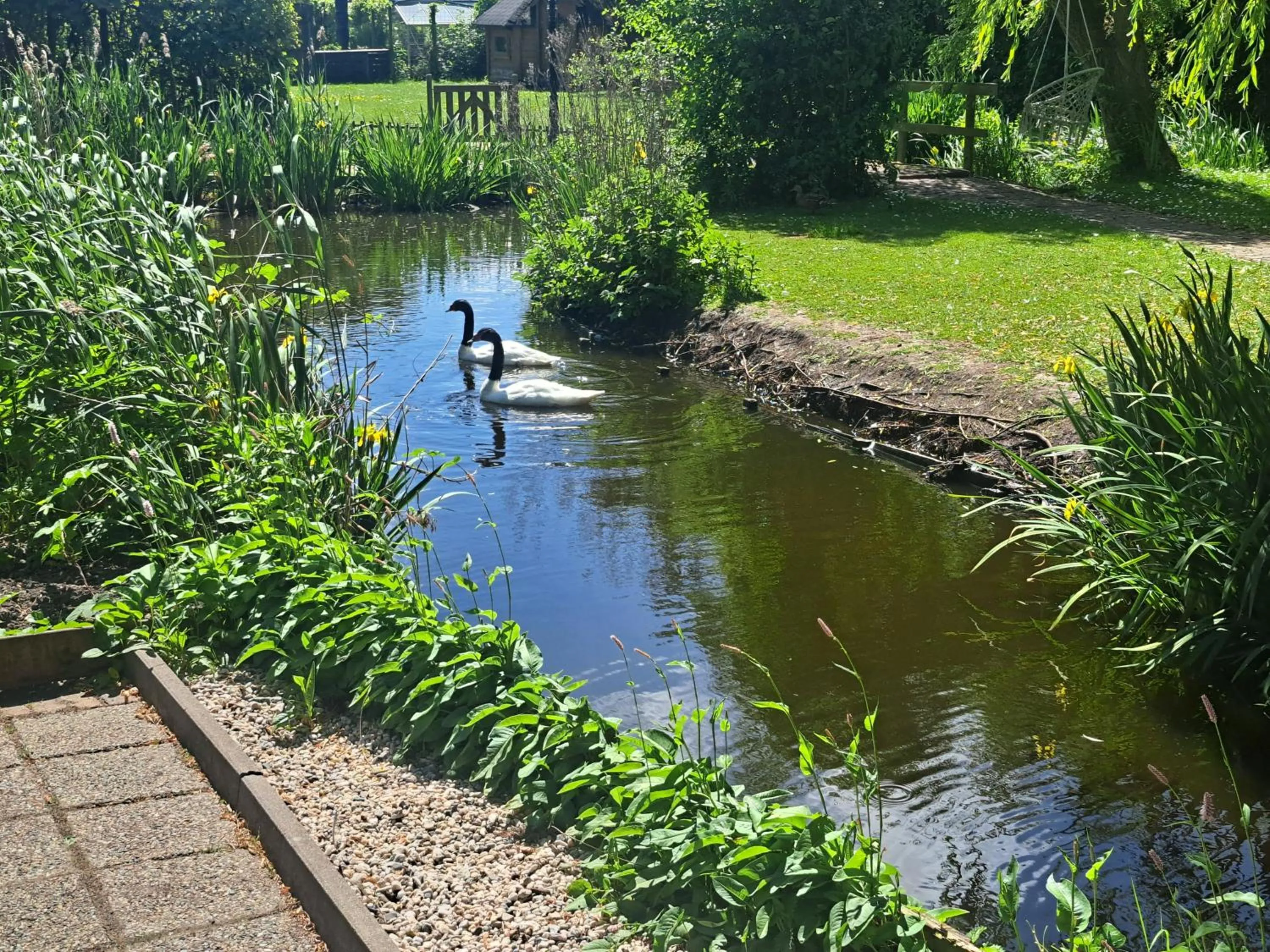 Lake view in B&B Saense huisje