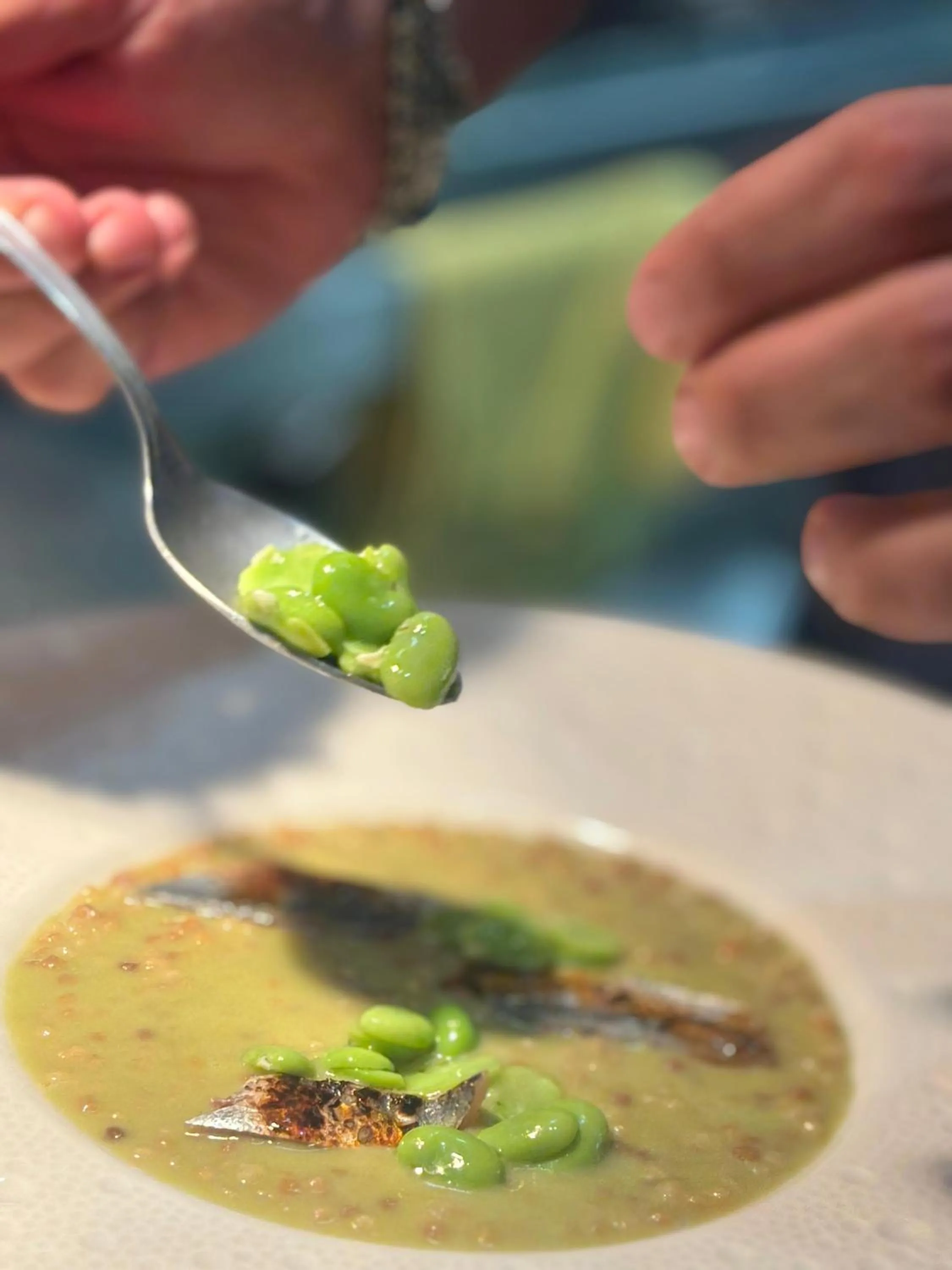 Restaurant/places to eat in Domus Maris Relais Boutique Hotel