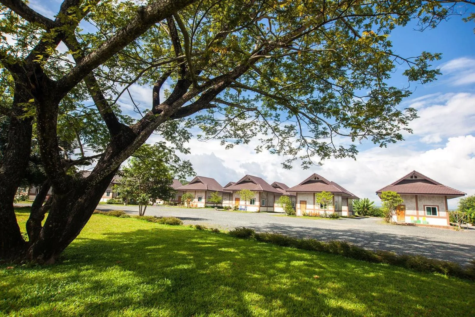 Garden in Mae Faek Villas