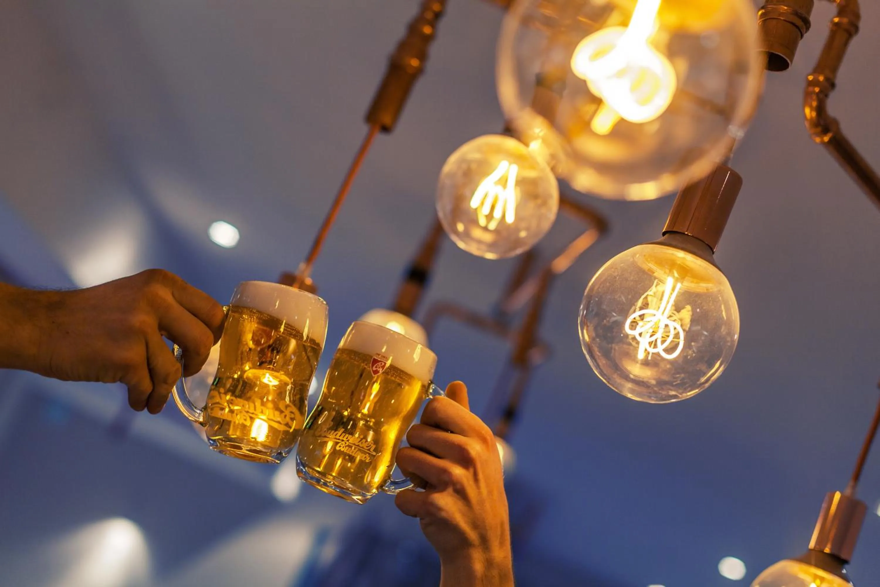 Alcoholic drinks in Residence AlpenHeart