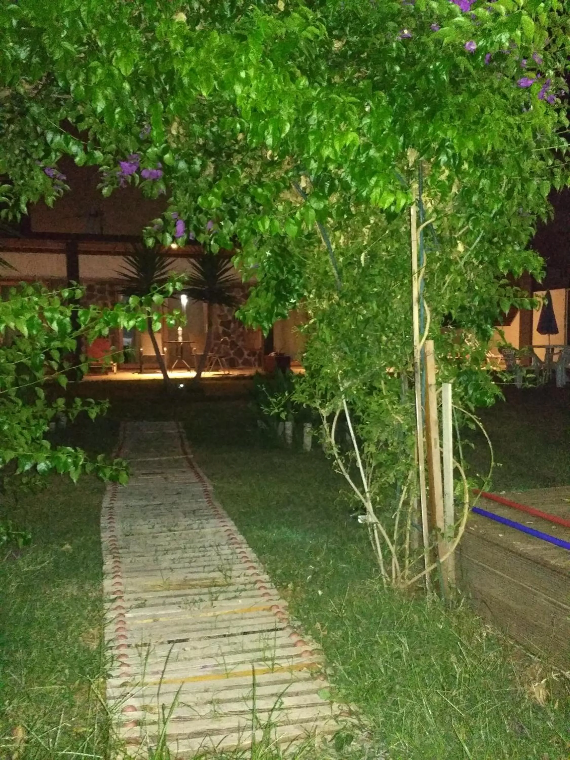 Garden in Beloni Apartments and Studios