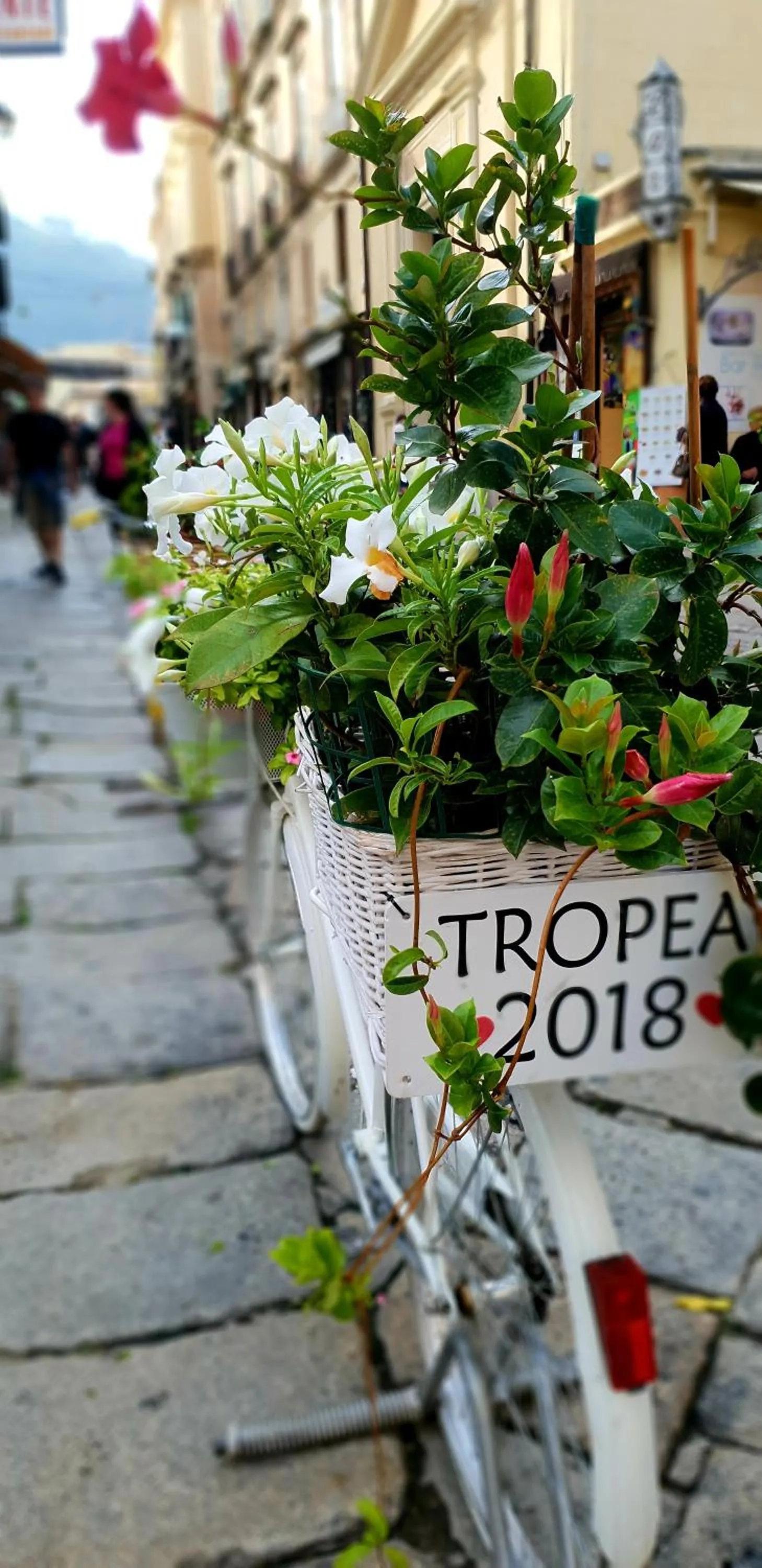 Nearby landmark in Park Oasi Resort