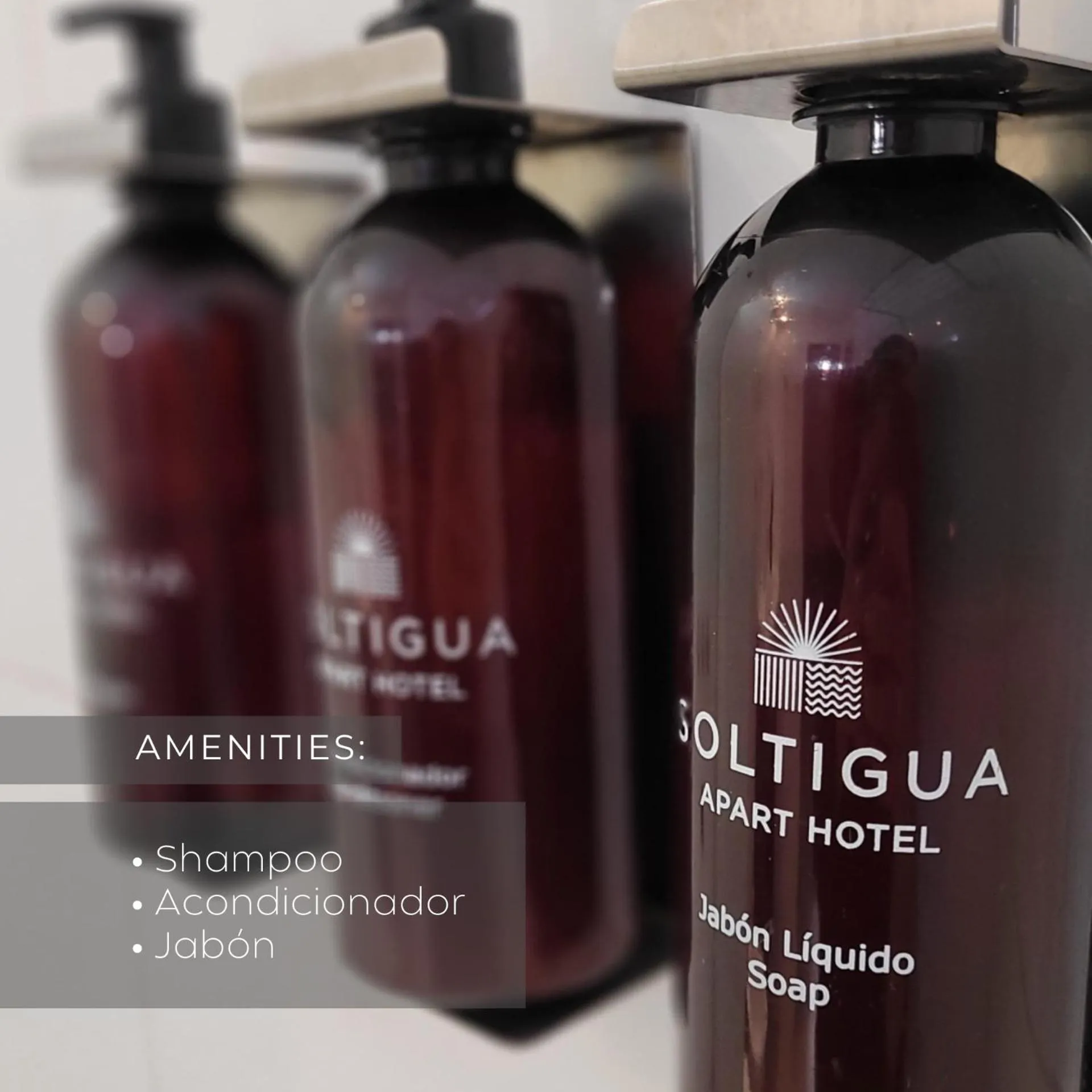 Soltigua Apart Hotel Mendoza