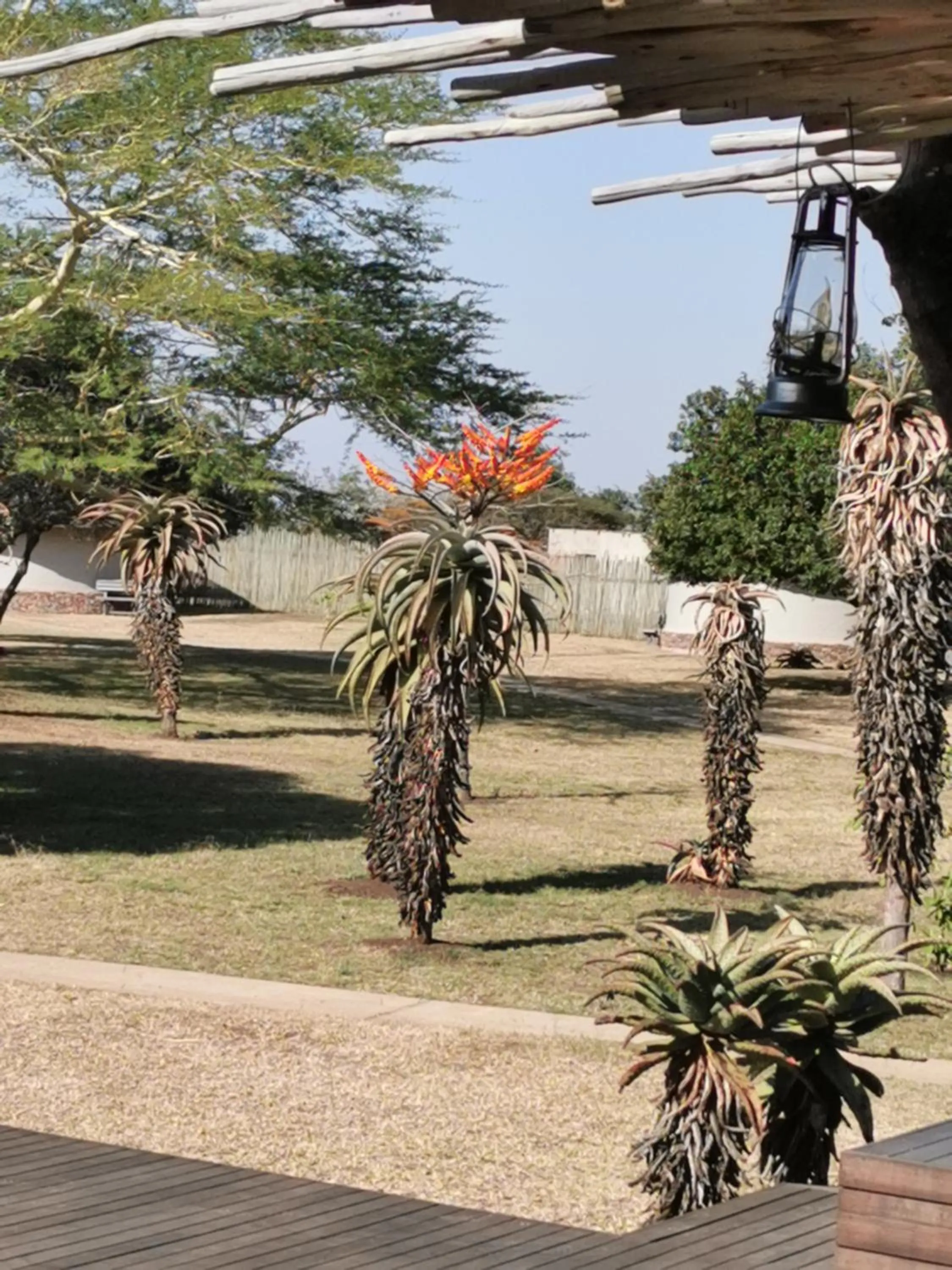 Natural landscape in Bayala Private Safari Lodges