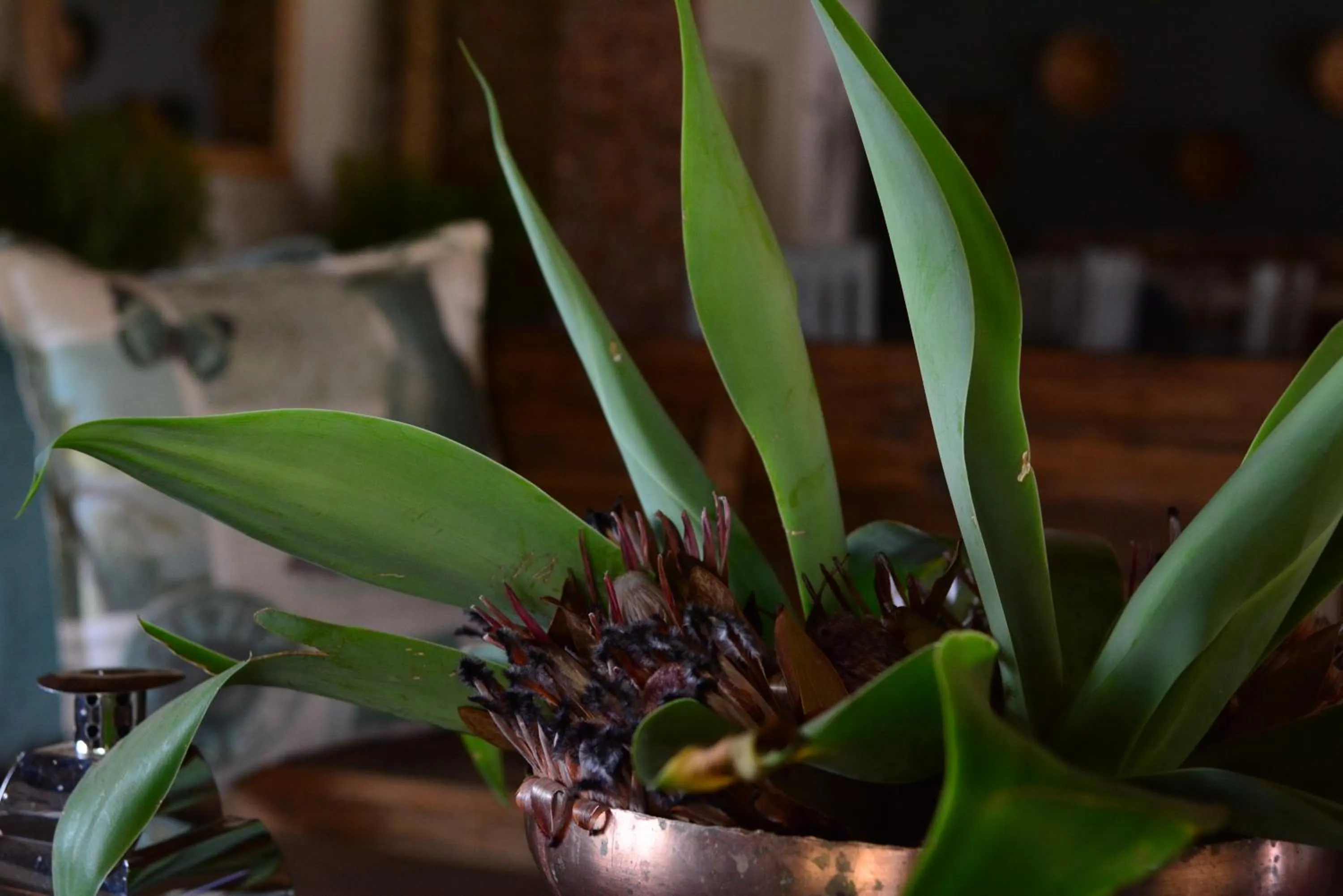 Breakfast in Bayala Private Safari Lodges