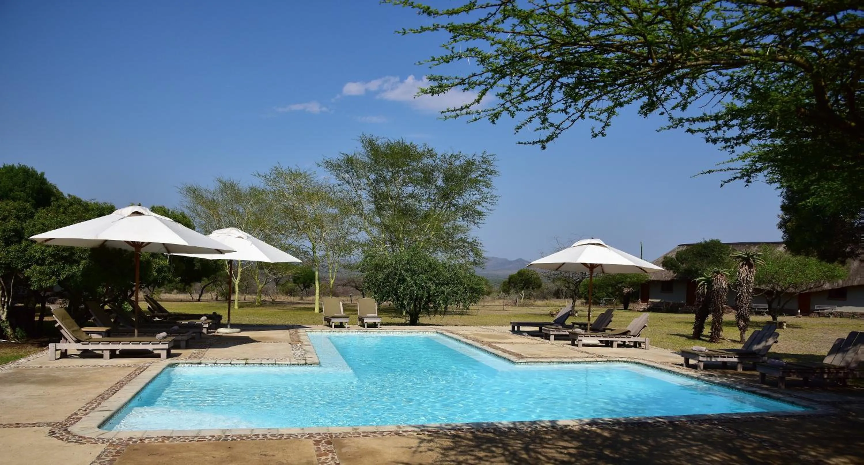 Swimming pool in Bayala Private Safari Lodges