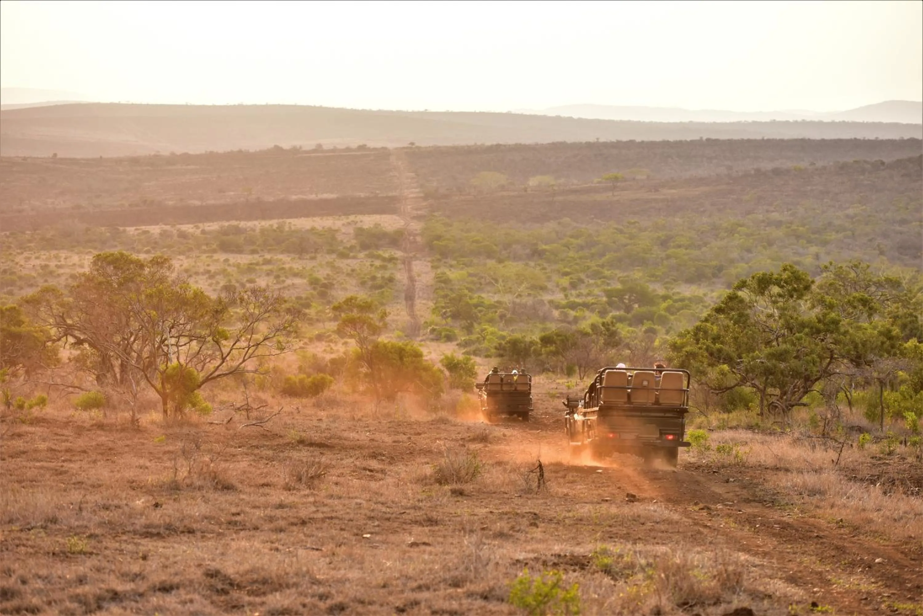 Natural landscape in Bayala Private Safari Lodges