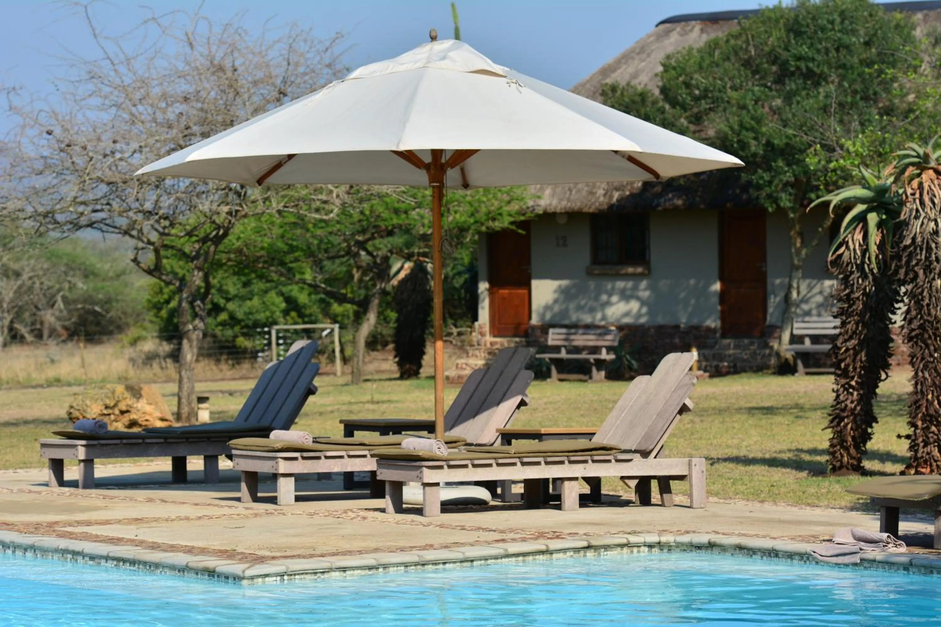 Pool view in Bayala Private Safari Lodges