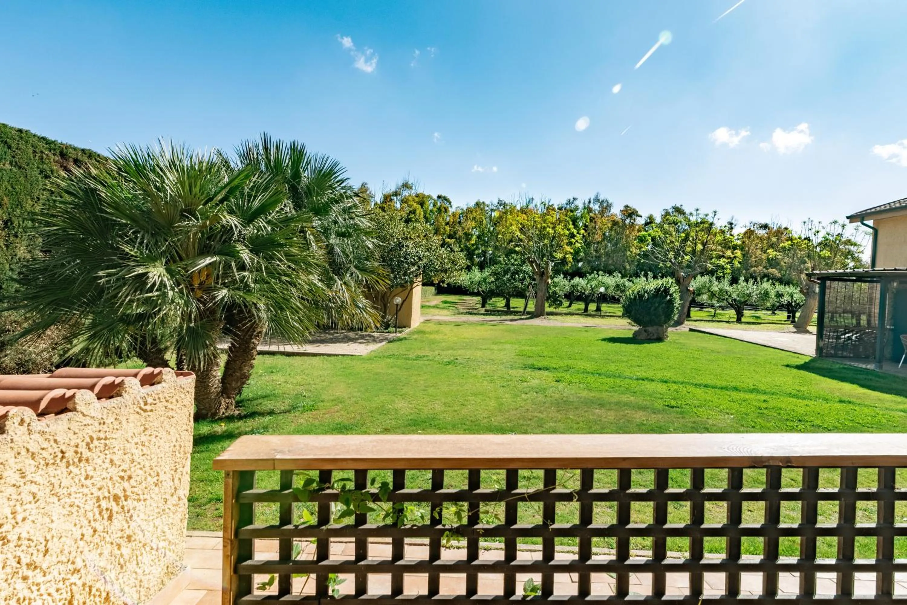 Spring in Bonsai B&B Alghero