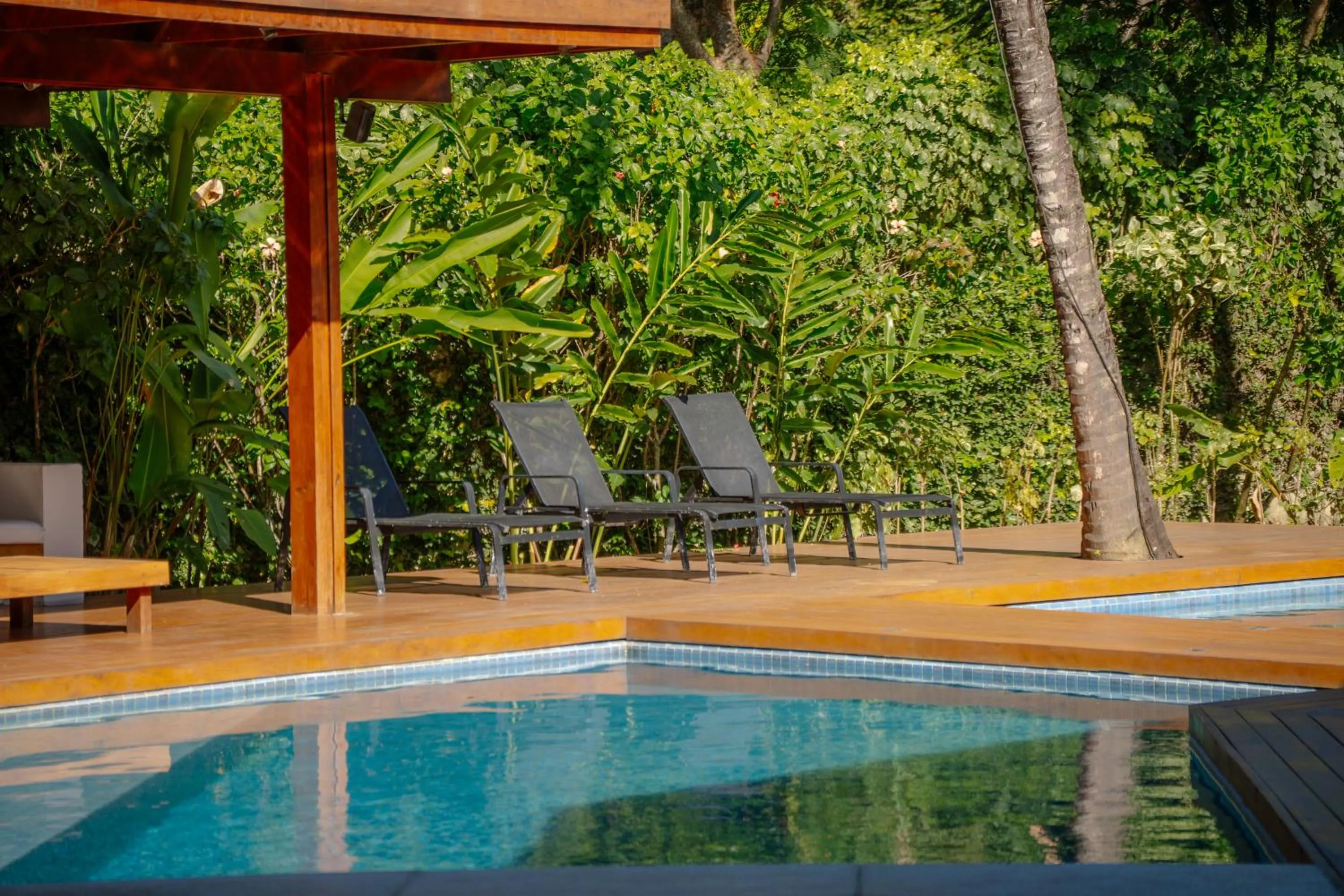 Swimming pool in Hotel Flamingo Beach by HC