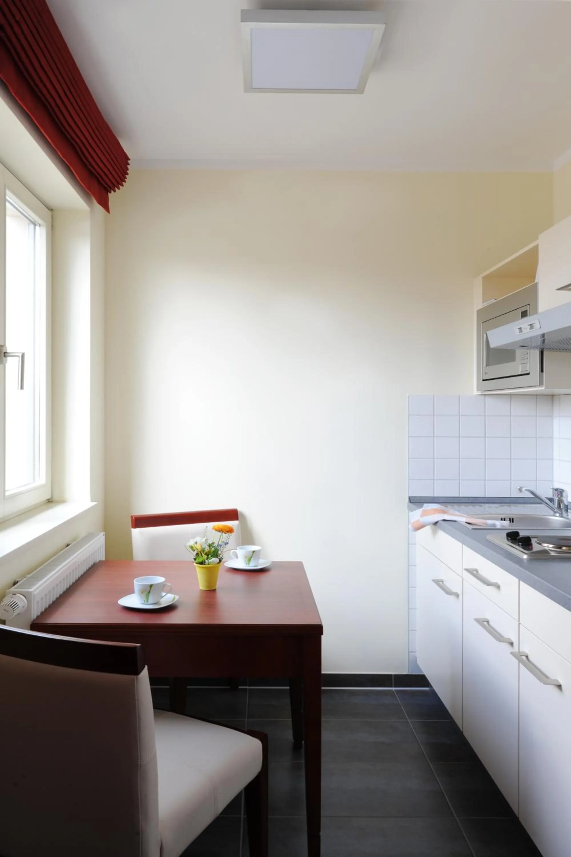 Kitchen or kitchenette in SchlafGut AppartementHotel