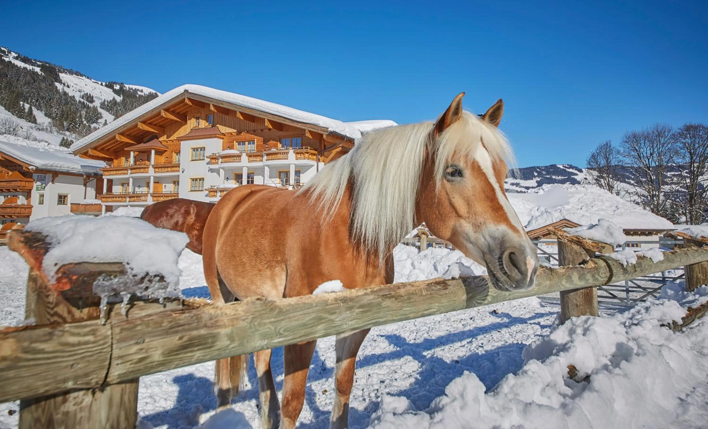 Bauernhof Hotel Oberschwarzach