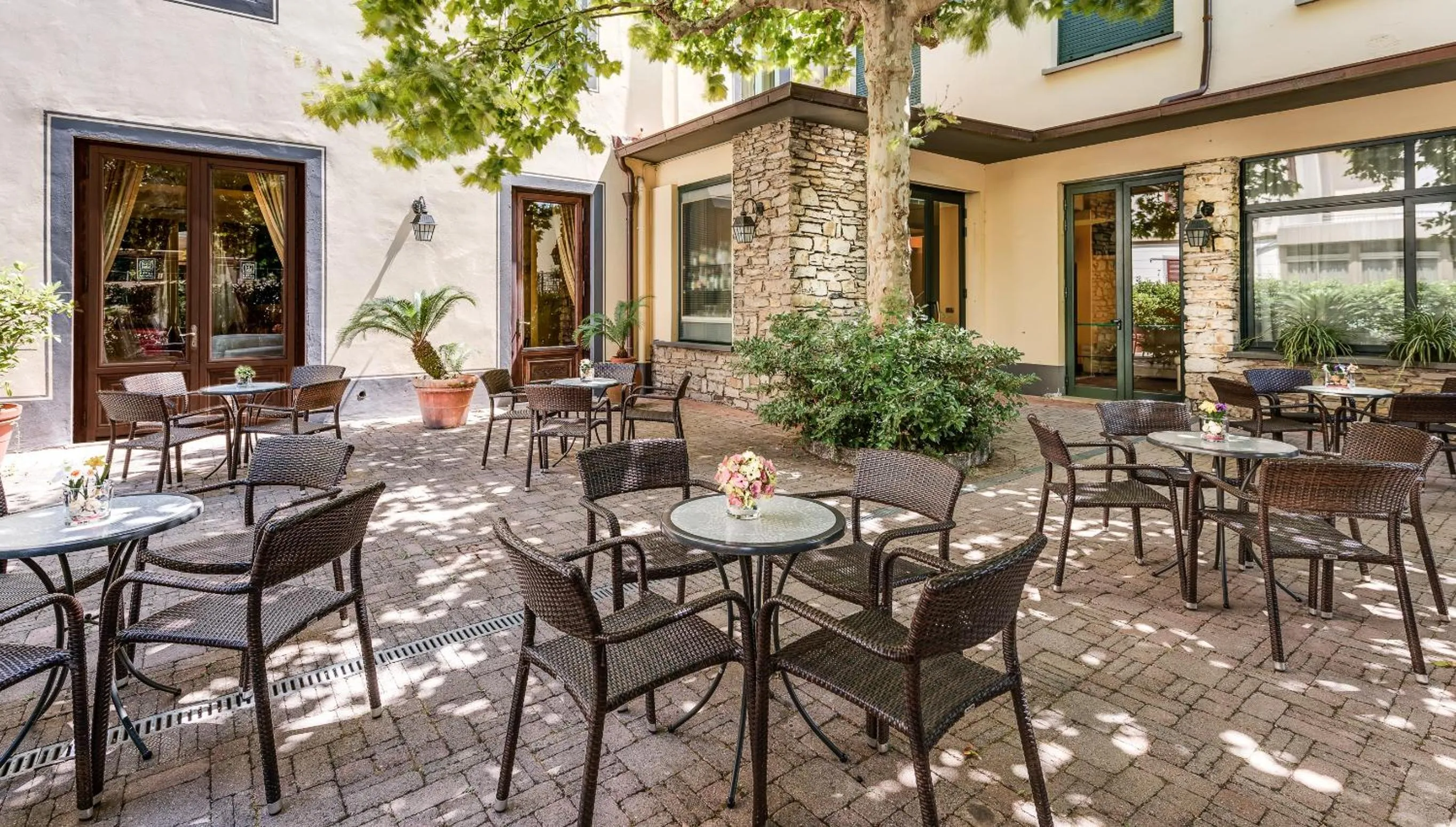 Garden in Hotel Da Vinci