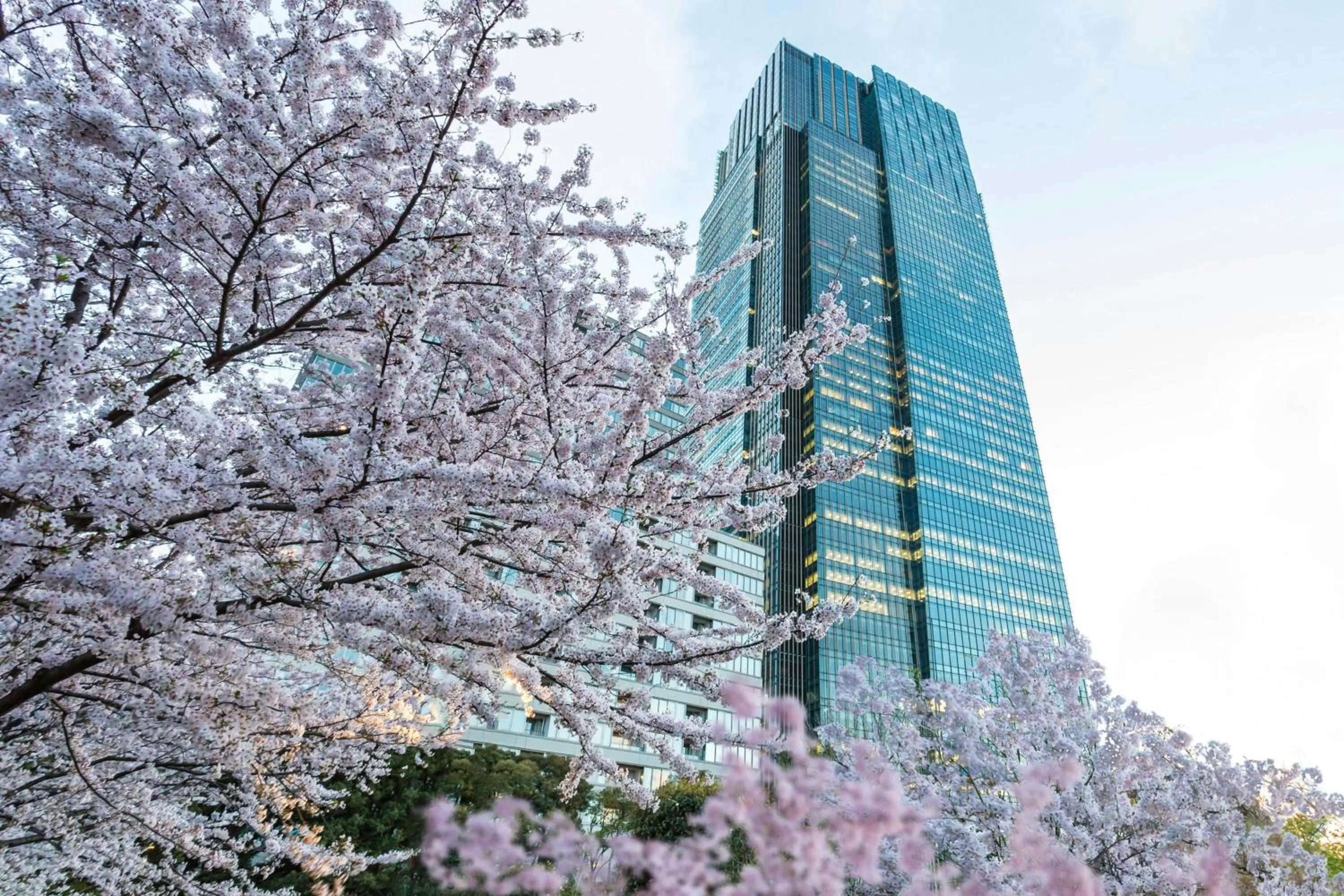 View (from property/room) in The Ritz-Carlton, Tokyo