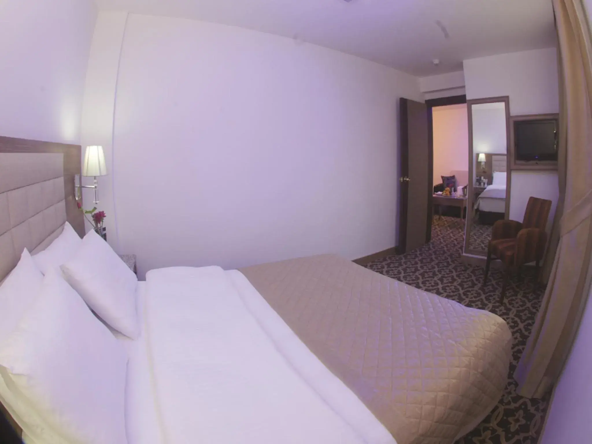 King Suite in The City Hotel King Suite in The City Hotel