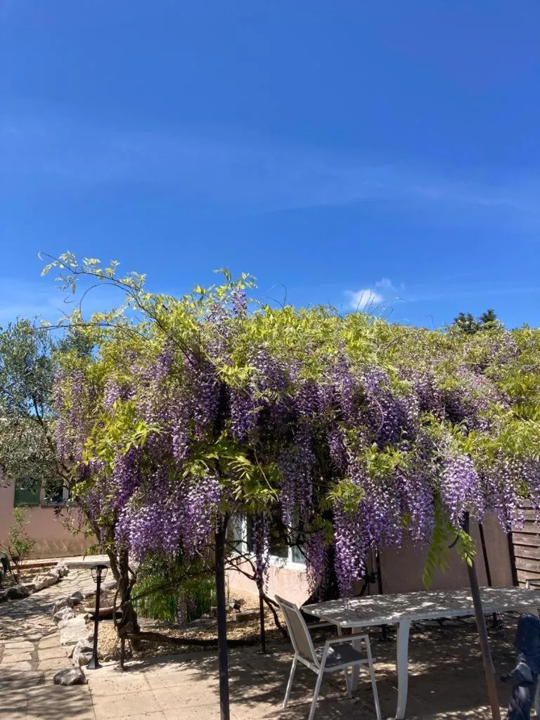 Garden in Le clos des olivettes
