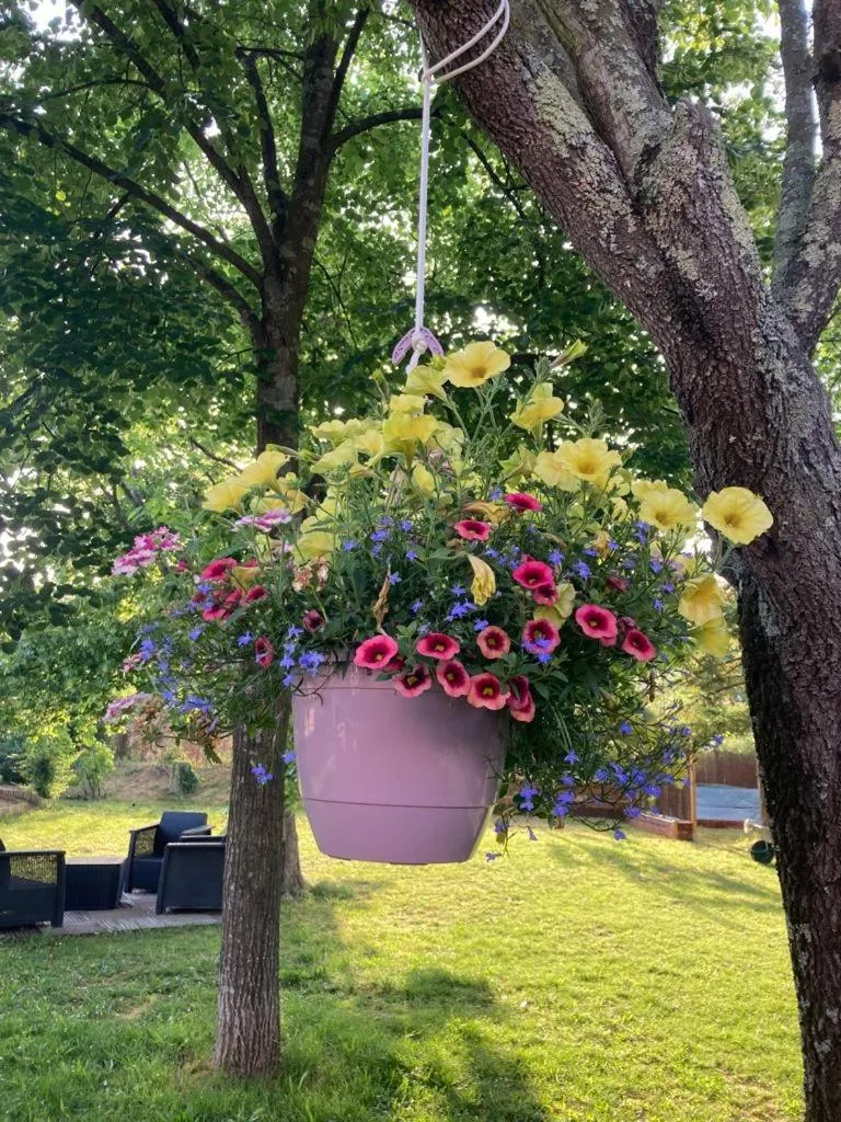 Garden in Le clos des olivettes