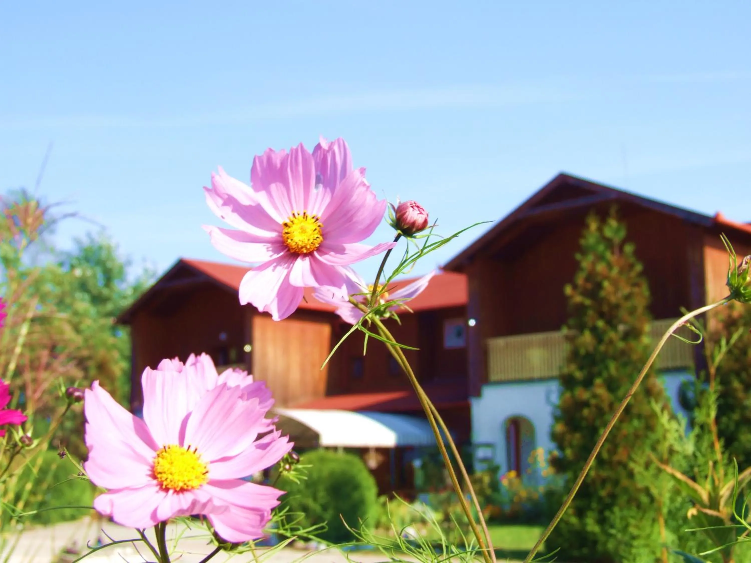 Property building in Pollushof Panzió és Étterem