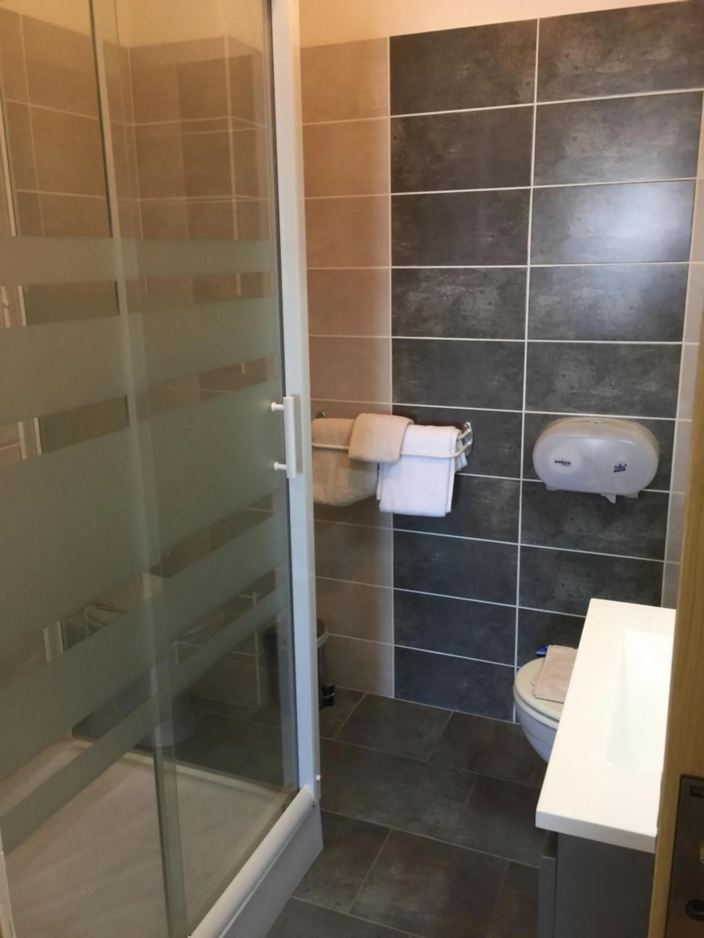 Shower in Hôtel Le Roi Gourmand