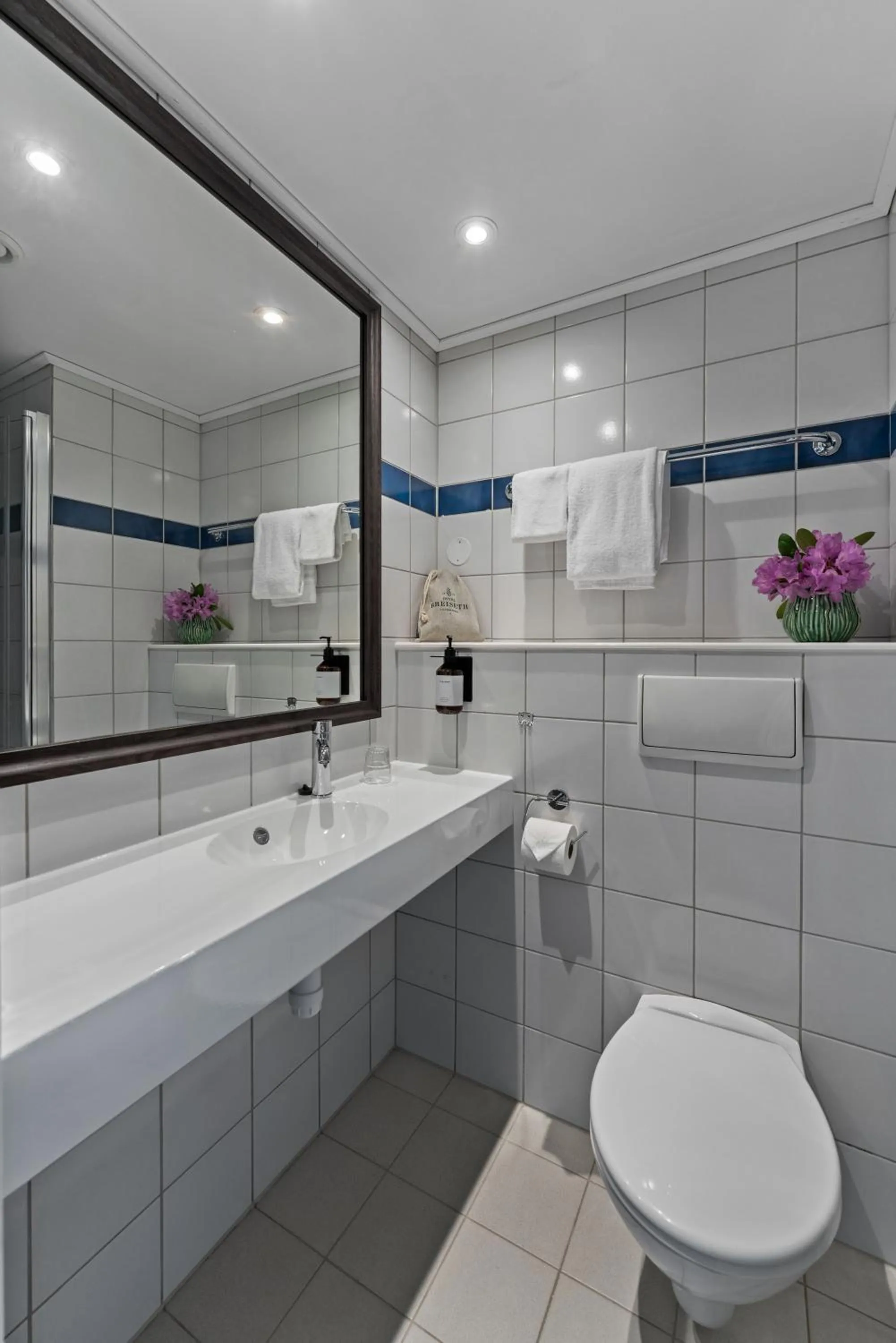 Bathroom in Hotel Breiseth