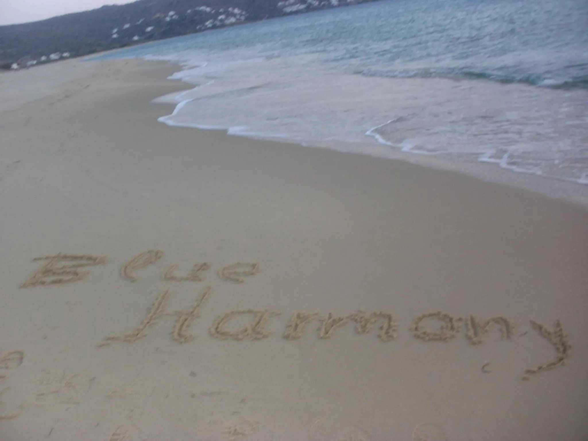 Beach in Blue Harmony Apartments