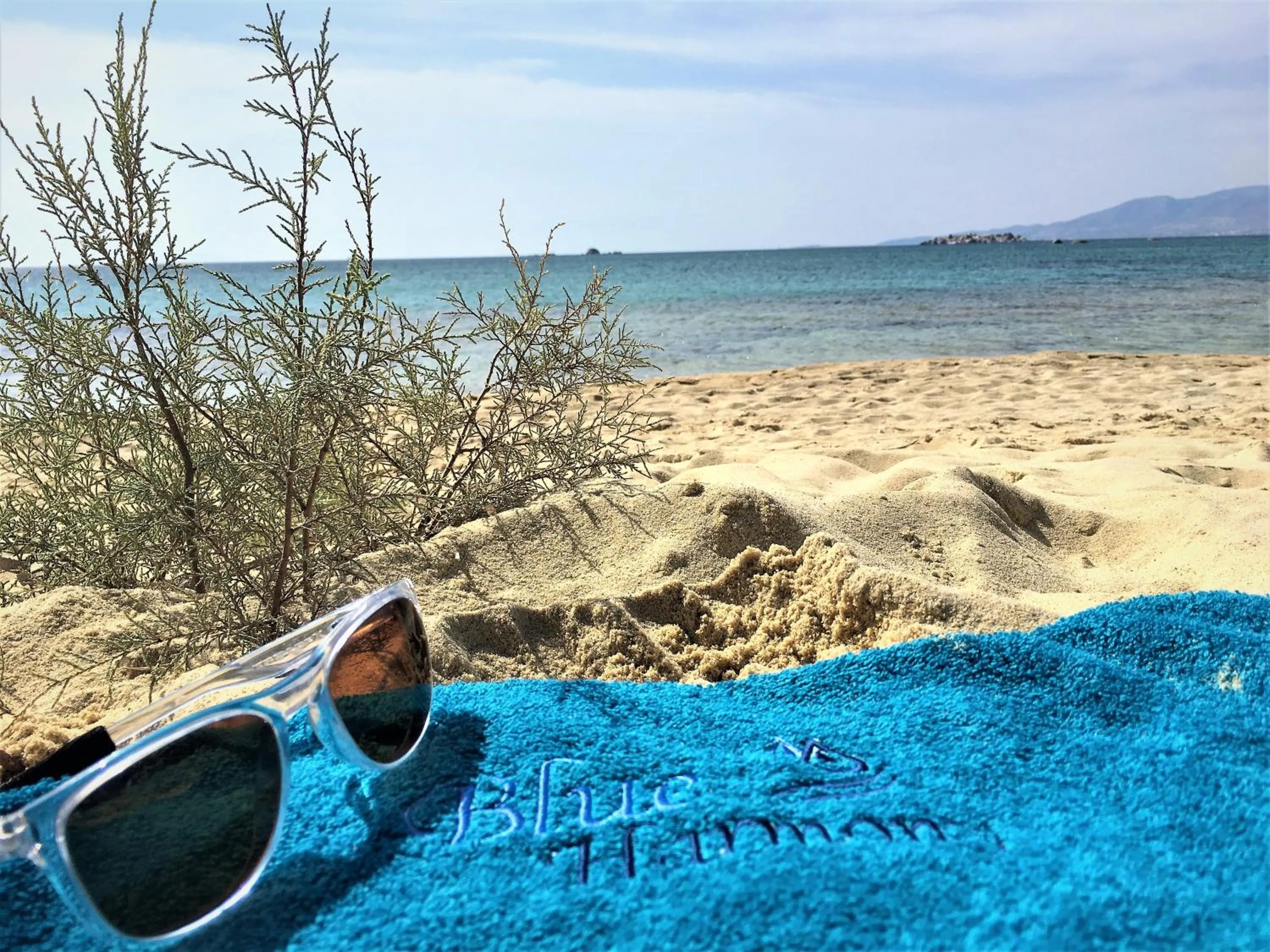 Beach in Blue Harmony Apartments