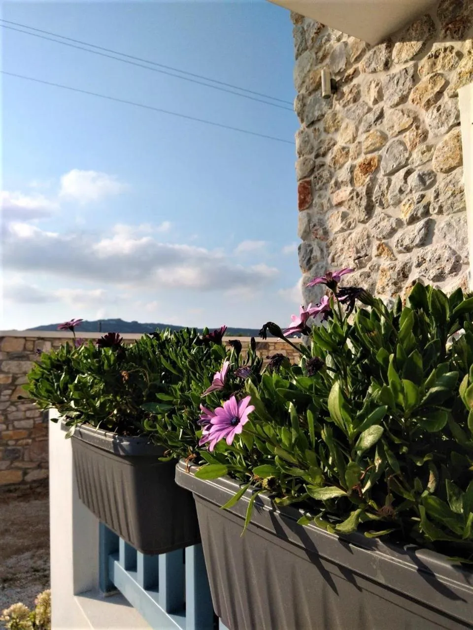 Balcony/Terrace in Blue Harmony Apartments