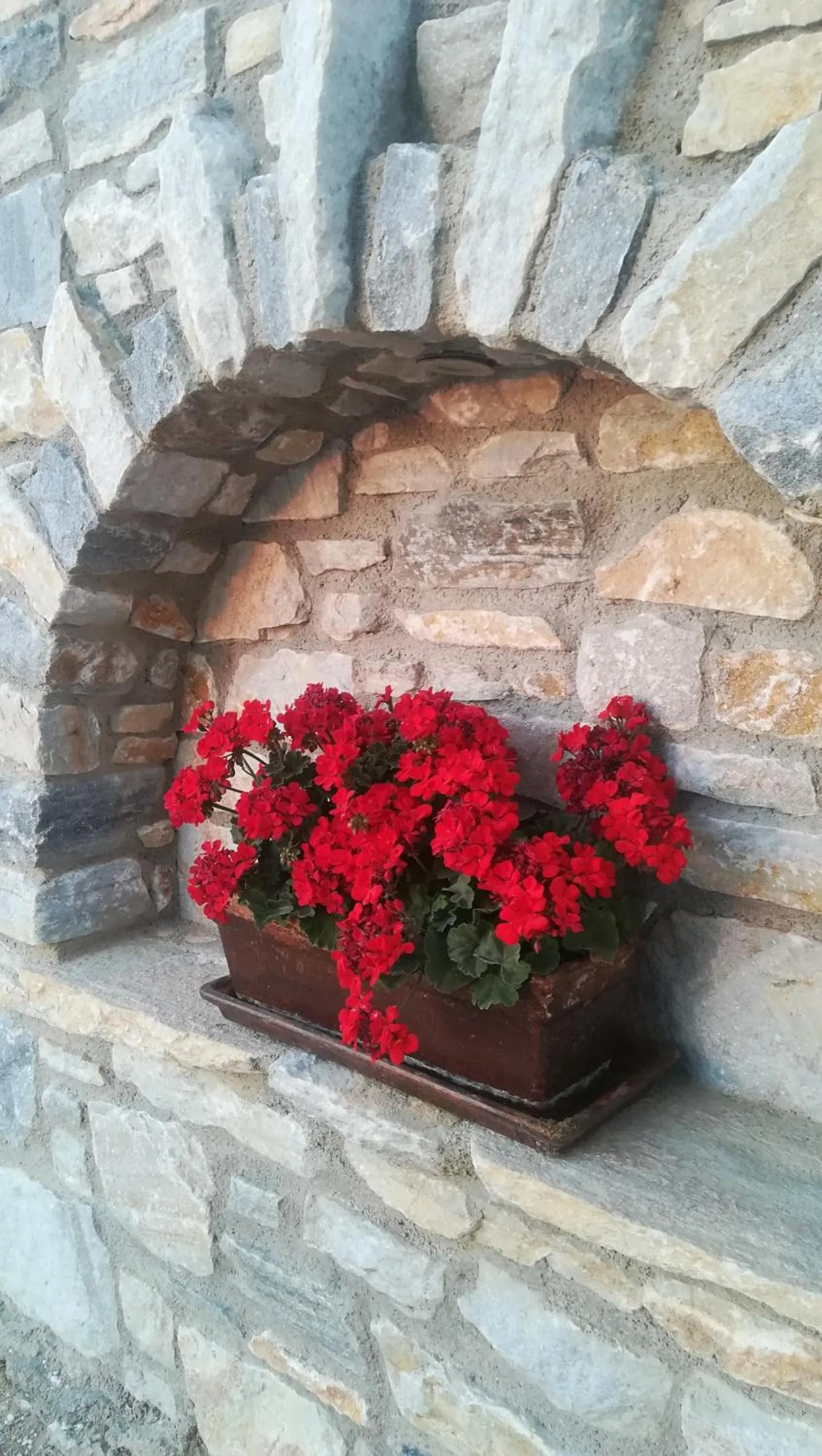 Property building in Blue Harmony Apartments