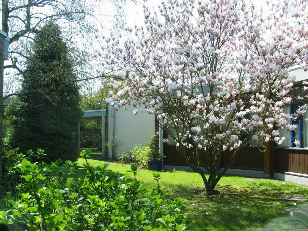 Garden in Hôtel Agena