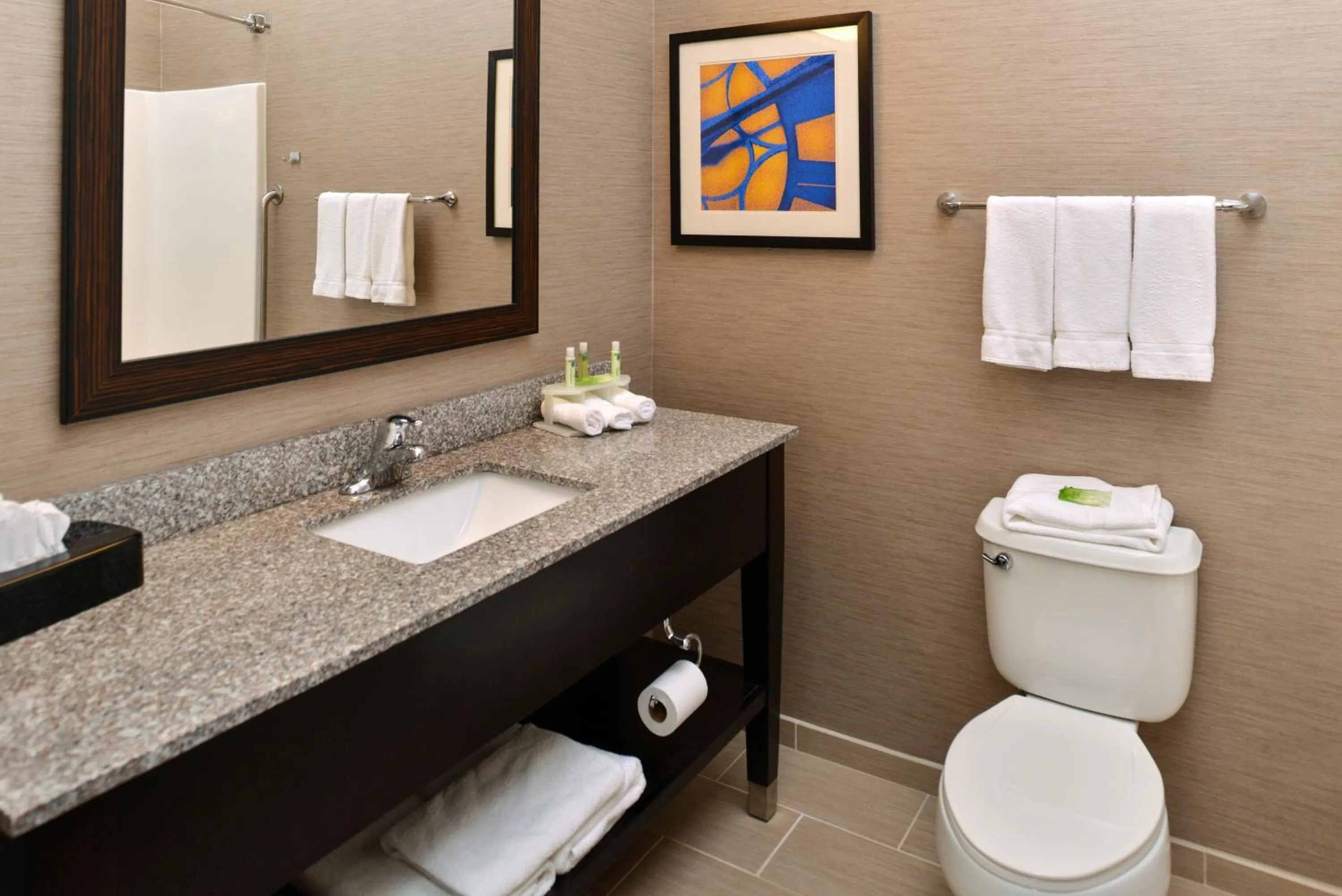 Bathroom in Holiday Inn Express Hotel & Suites St. Louis West-O'Fallon by IHG
